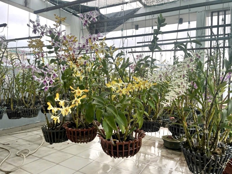 Bán nhà đường 339, Phường Phước Long B, Q9, Thủ Đức, TP HCM. DT 100m2, 4 tầng, SH. Giá 11,9 tỷ 15998411