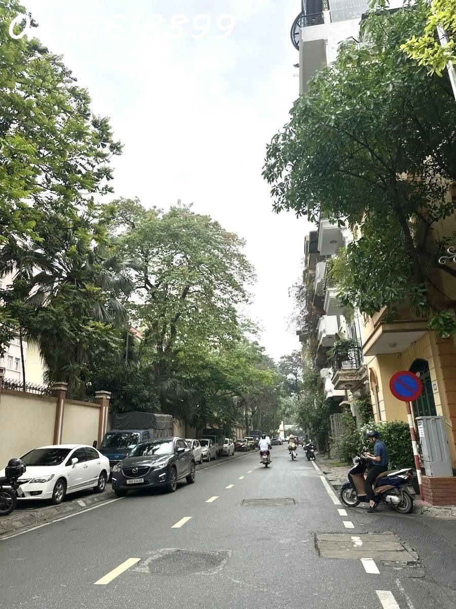 🏡 MẶT PHỐ PHÙNG CHÍ KIÊN - CẦU GIẤY - 7T TM - THÔNG SÀN - MT 7M - DÒNG TIỀN 90TR/TH - PCCC CHUẨN 15998575