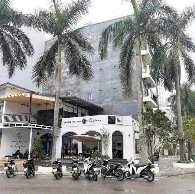 Chính Chủ Cần Bán Đất Tại Thôn Thanh Bình xã Xuân Lâm huyện Thuận Thành tỉnh Bắc Ninh. 15998610