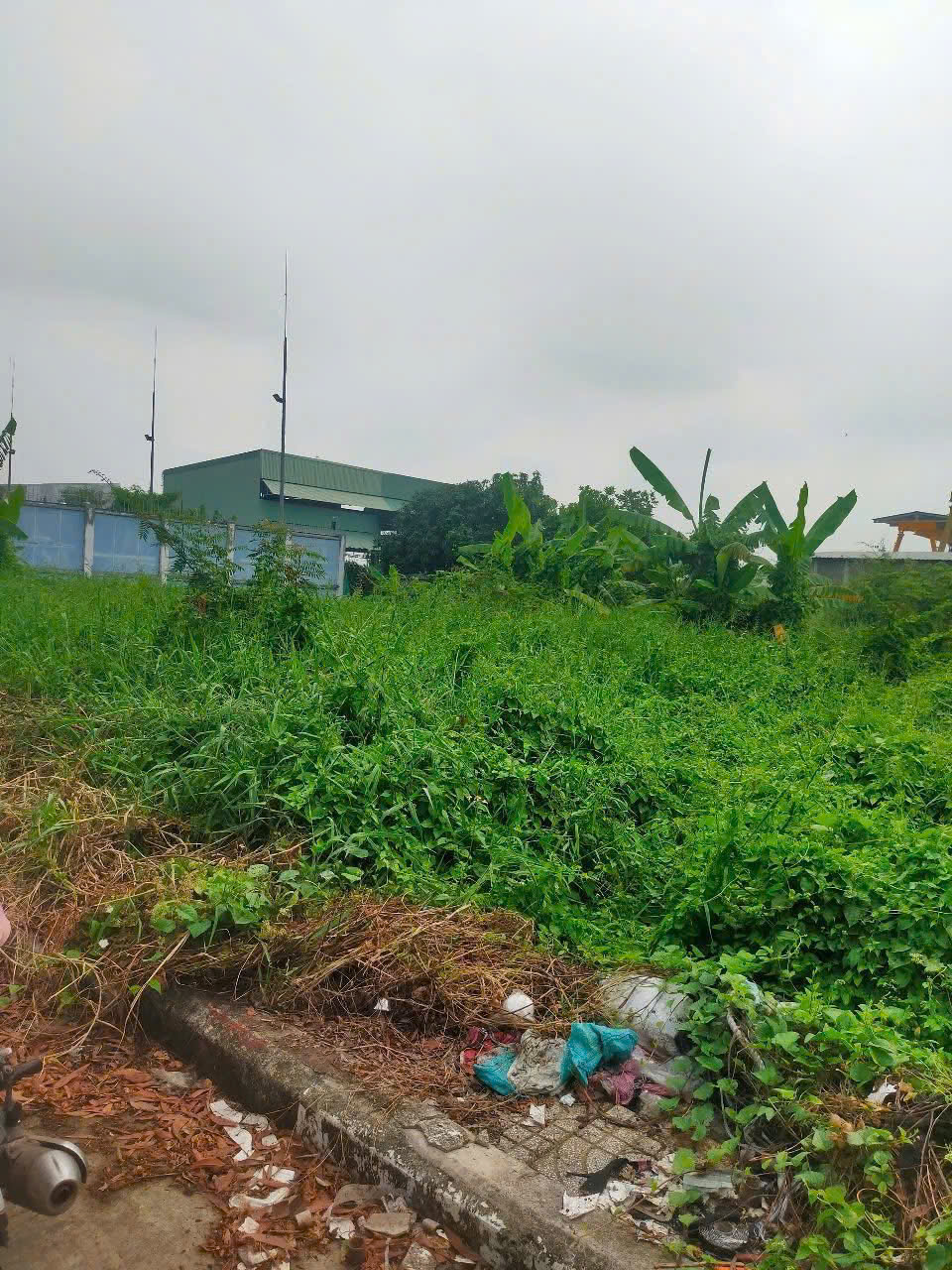 SIÊU PHẨM 3MT NGUYỄN VĂN BỨA – 2.617M² – ĐƯỜNG CONTAINER – GIÁ CHỈ 33 TỶ 15998789