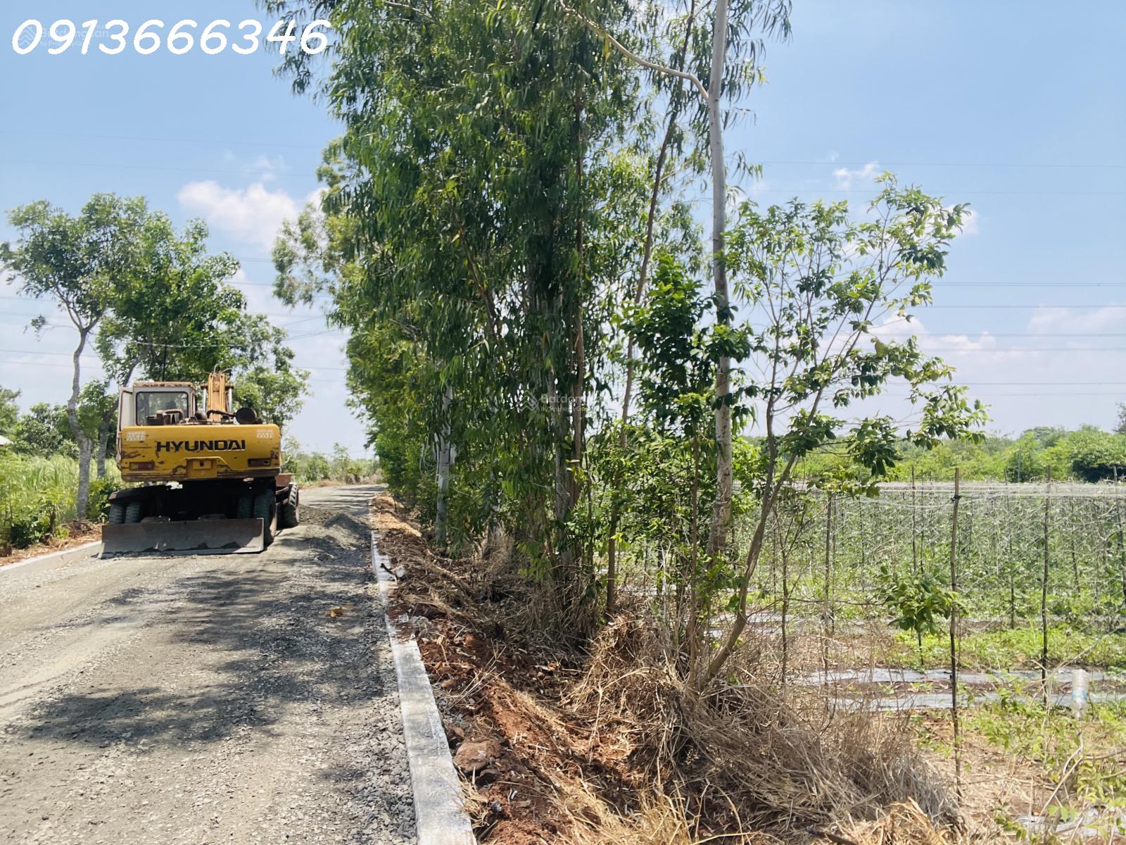 BÁN ĐẤT NGUYÊN LÔ XÃ LONG TÂN (nay Xã Đất Đỏ, TPHCM) mặt tiền đường 43m Giá bán nguyên lô 15998791