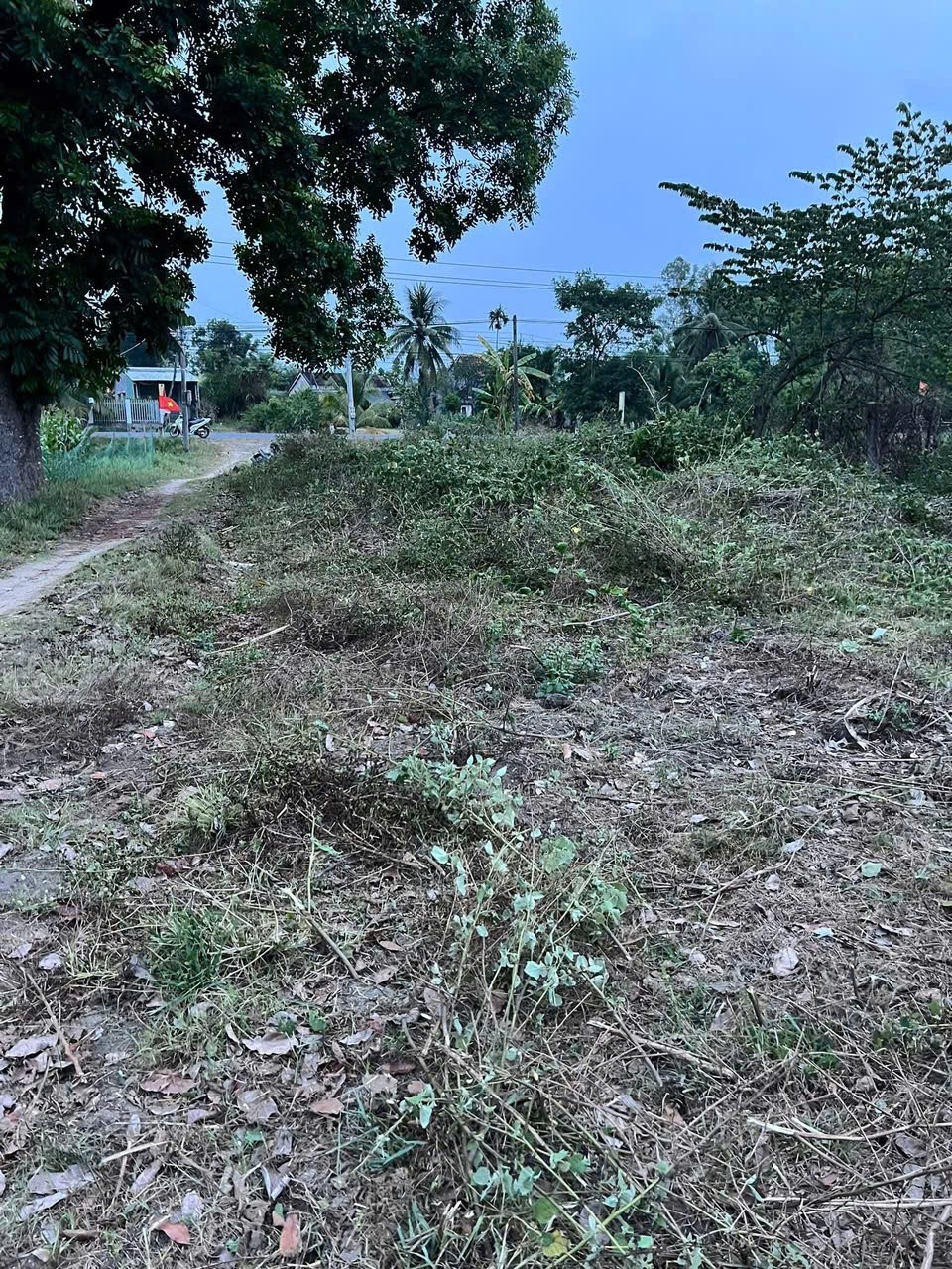 BÁN ĐẤT MẶT TIỀN ĐẸP – GIÁ TỐT – Thôn Ngân Điền, xã Sơn Hà, huyện Sơn Hòa, tỉnh Phú Yên 15998881