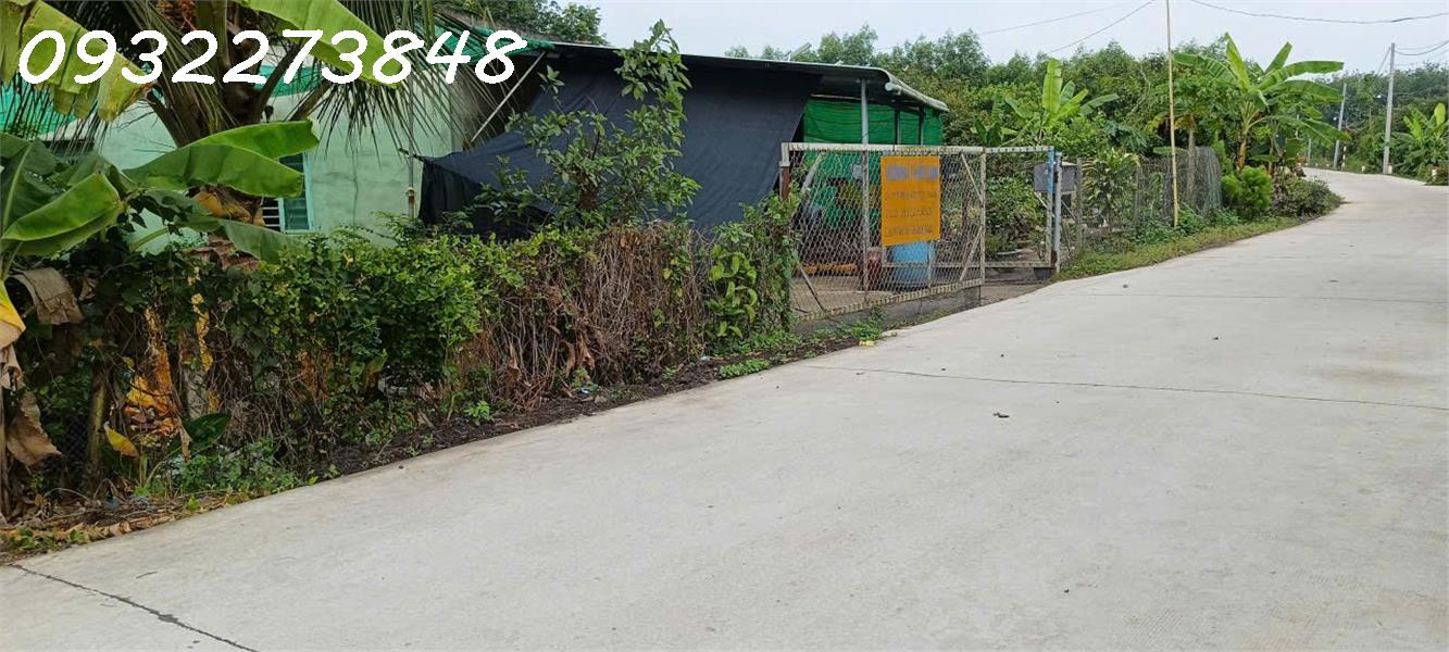 Chính chủ cần bán đất tại ấp Sa Cá, xã Bình An, Long Thành, Đồng Nai 15999010