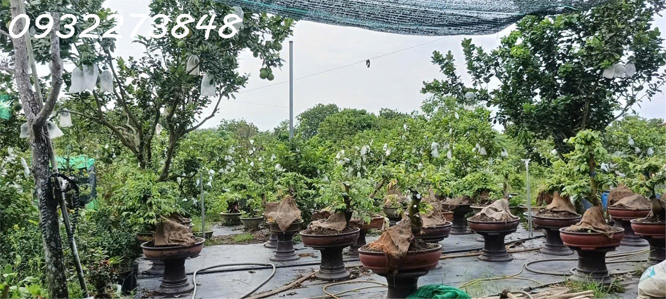 Chính chủ cần bán đất tại ấp Sa Cá, xã Bình An, Long Thành, Đồng Nai 15999010