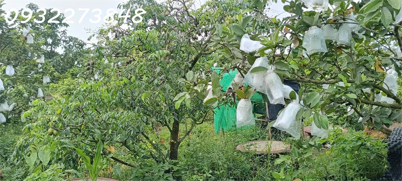 Chính chủ cần bán đất tại ấp Sa Cá, xã Bình An, Long Thành, Đồng Nai 15999010
