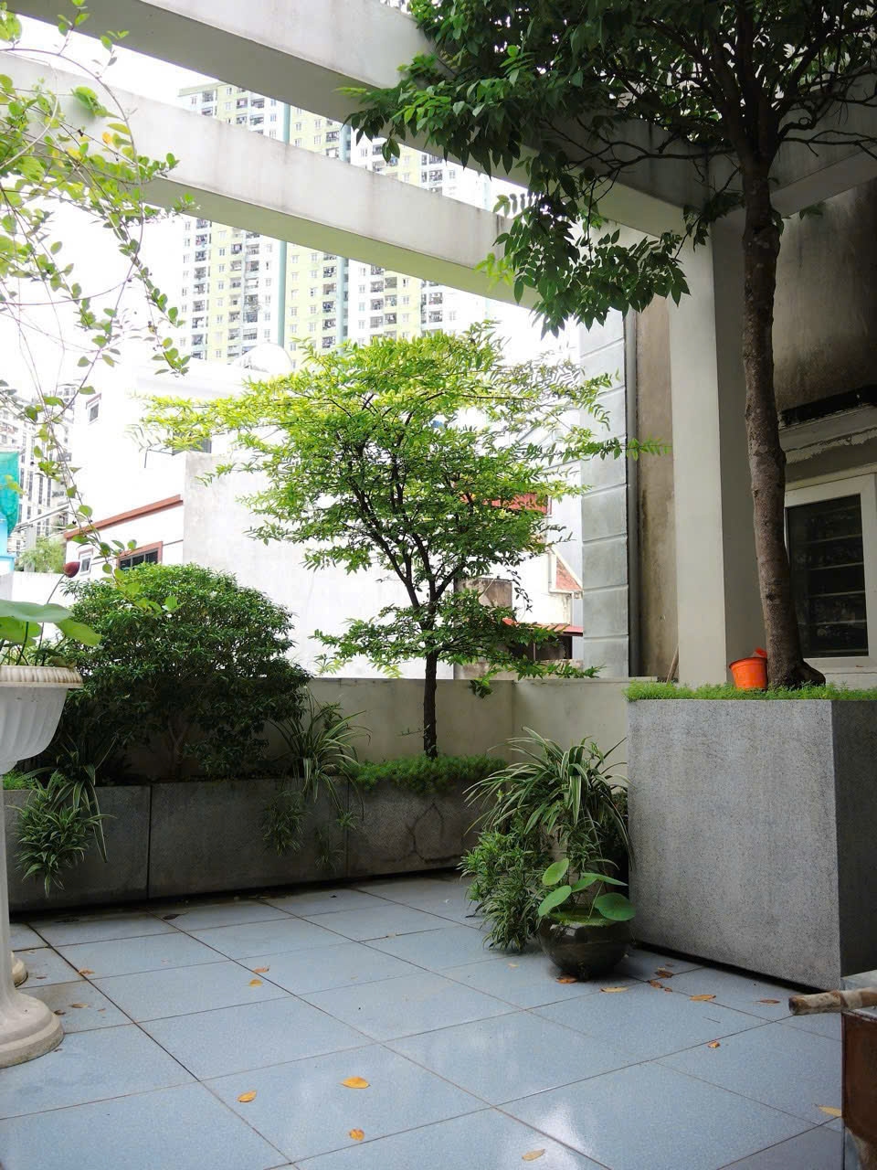 CHÍNH CHỦ BÁN NHÀ NGÕ 197 PHỐ TRẦN PHÚ – PHƯỜNG HÀ ĐÔNG – THÀNH PHỐ HÀ NỘI 15999198