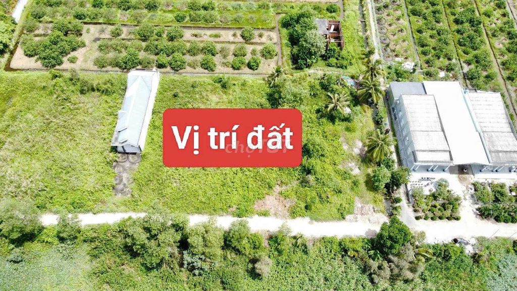 Bán đất xây nhà vườn, Homestay, Xưởng -1000m2 Thổ cư - SHCC - Đường xe hơi vào - Giá tốt 15999199