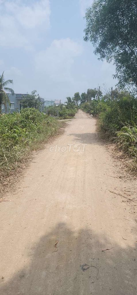 Bán đất xây nhà vườn, Homestay, Xưởng -1000m2 Thổ cư - SHCC - Đường xe hơi vào - Giá tốt 15999199