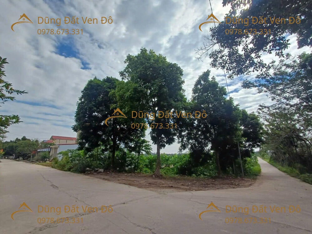 2 LÔ HÒA PHÚ - CHƯƠNG MỸ 100M/1 LÔ 15999303