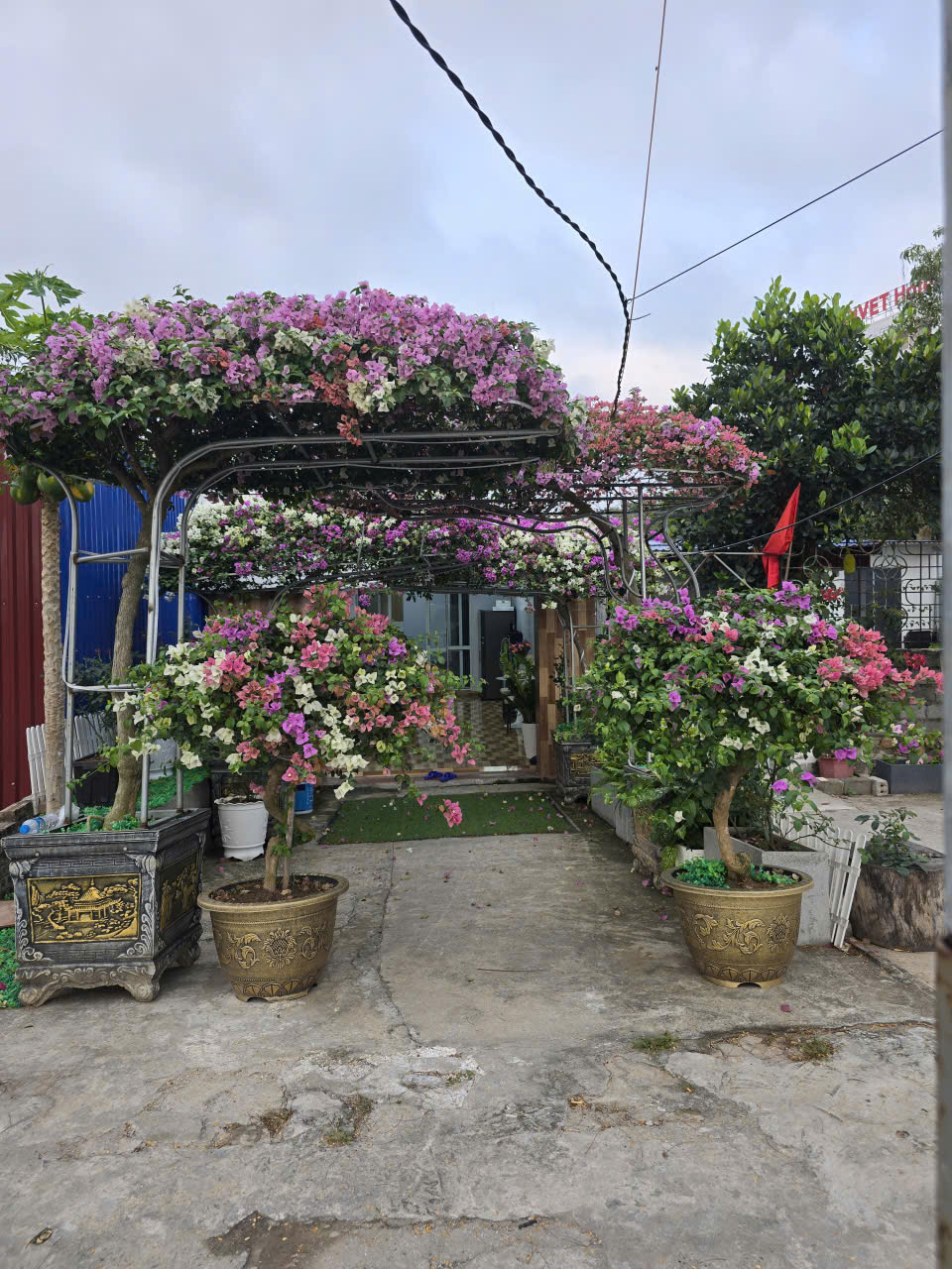 Chính chủ Bán nhà mặt tiền Lý Thái Tổ Đồ Sơn – gần biển Đồi Rồng – 65m2 –  3.3 tỷ – kinh doanh tốt 15999405