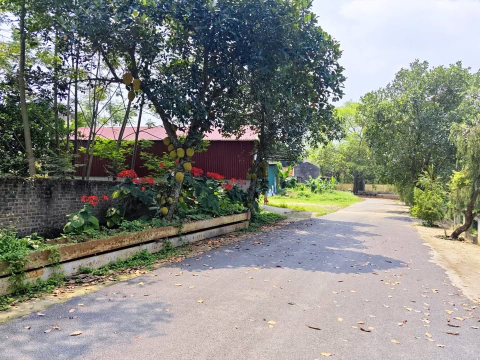 Sốc lô đất 101m2 Phú Cát view Hồ, khu vực trung tâm Hòa Lạc. Phù hợp xây trọ, đầu tư sinh lời, kết 15999612