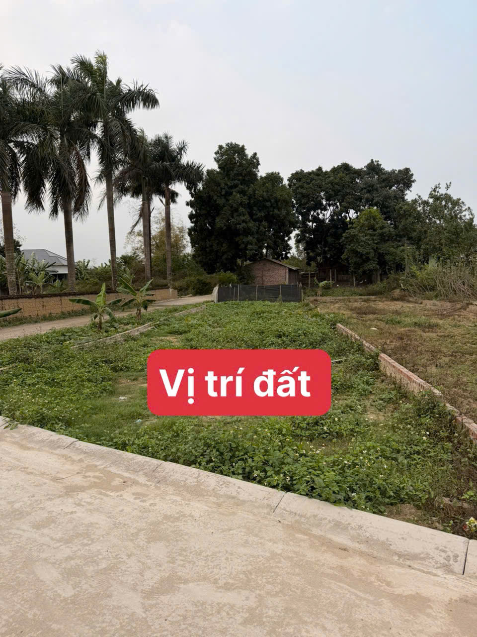 HOT !!! SỞ HỮU NGAY LÔ ĐẤT ĐẸP - GIÁ TỐT - Vị Trí Đắc Địa 15999694
