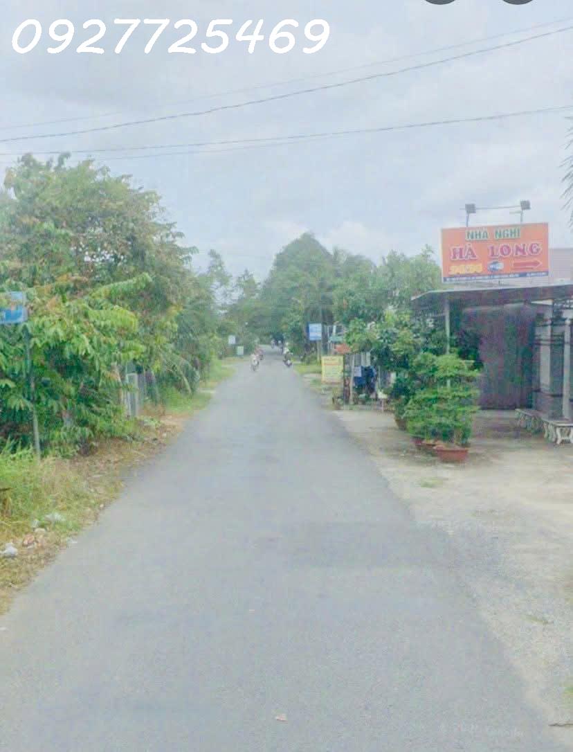 Bán gần 2 công 8 vườn sầu riêng Ri6 7năm tuổi xã Thành Triệu - Bến Tre 15999698