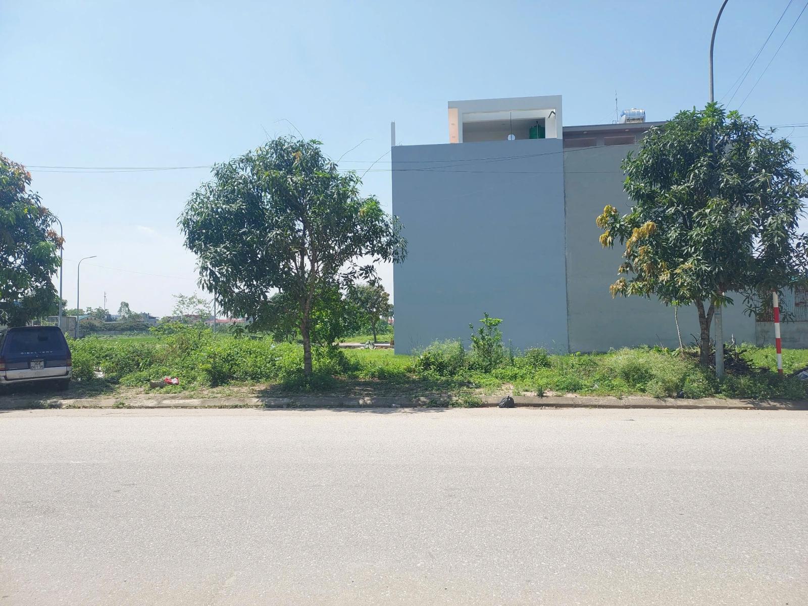 CƠ HỘI VÀNG SỞ HỮU ĐẤT BIỆT THỰ – VỊ TRÍ ĐẸP TẠI SƠN NAM, HƯNG YÊN 15999906