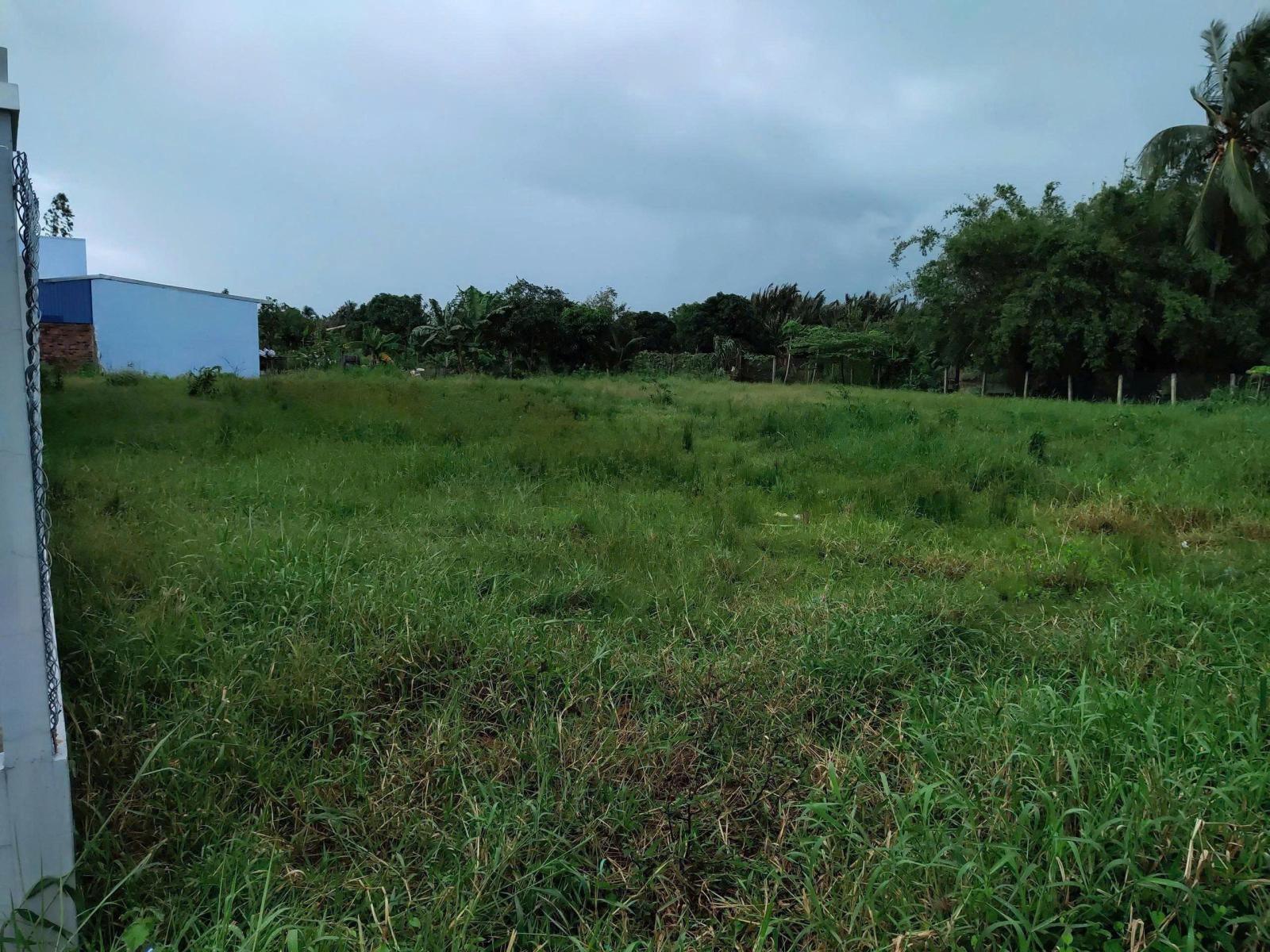 ĐẤT ĐẸP – GIÁ TỐT – CHÍNH CHỦ CẦN BÁN NHANH LÔ ĐẤT LIỀN KỀ TẠI huyện Thủ Thừa tỉnh Long An 15999908