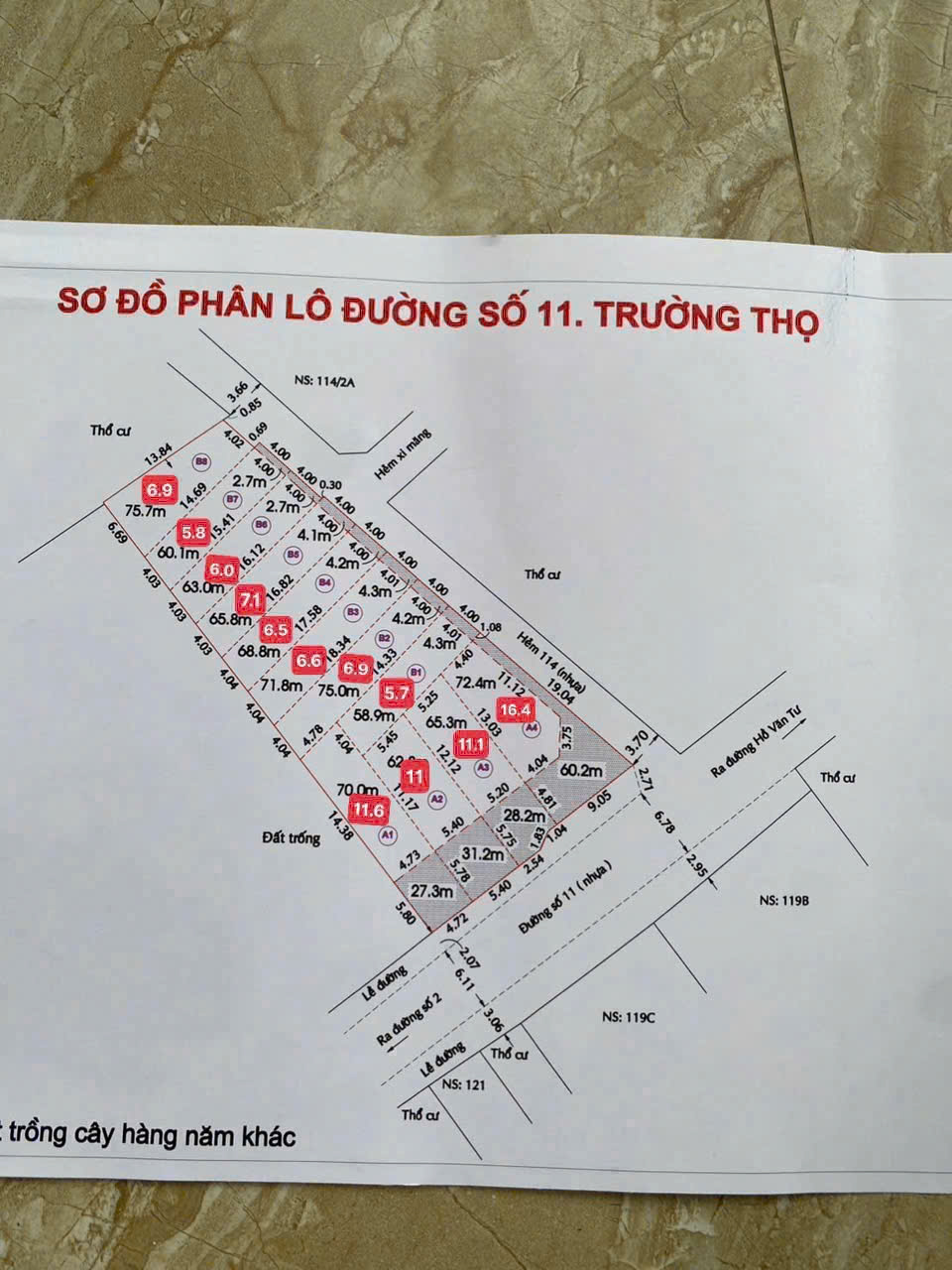 Bán 12 Lô Đất Mặt Tiền 114 Đường Số 11 - Trường Thọ - Thành Phố Thủ Đức 16000165