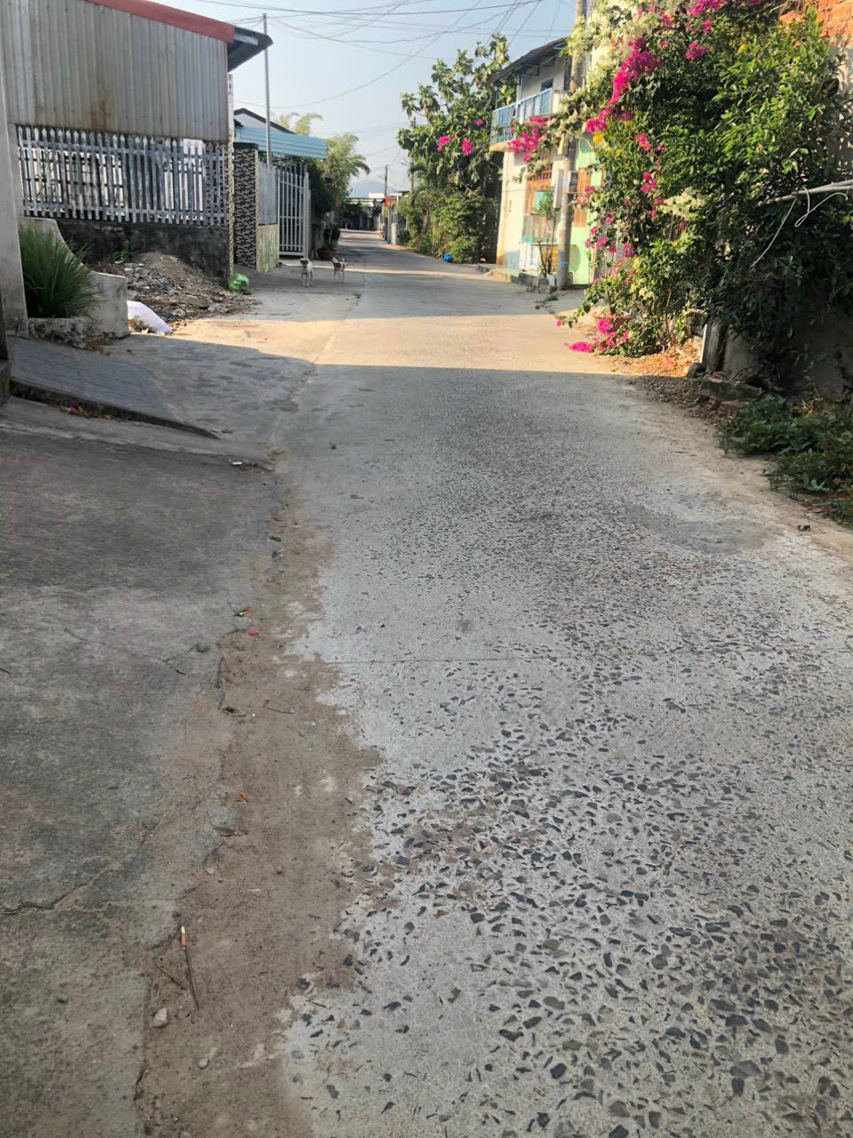 CHÍNH CHỦ Bán Gấp Nhà Vị Trí Đẹp Tại Cát Hải, Xã Tân Hải, Thị xã Phú Mỹ, Tỉnh Bà Rịa Vũng Tàu 16000304