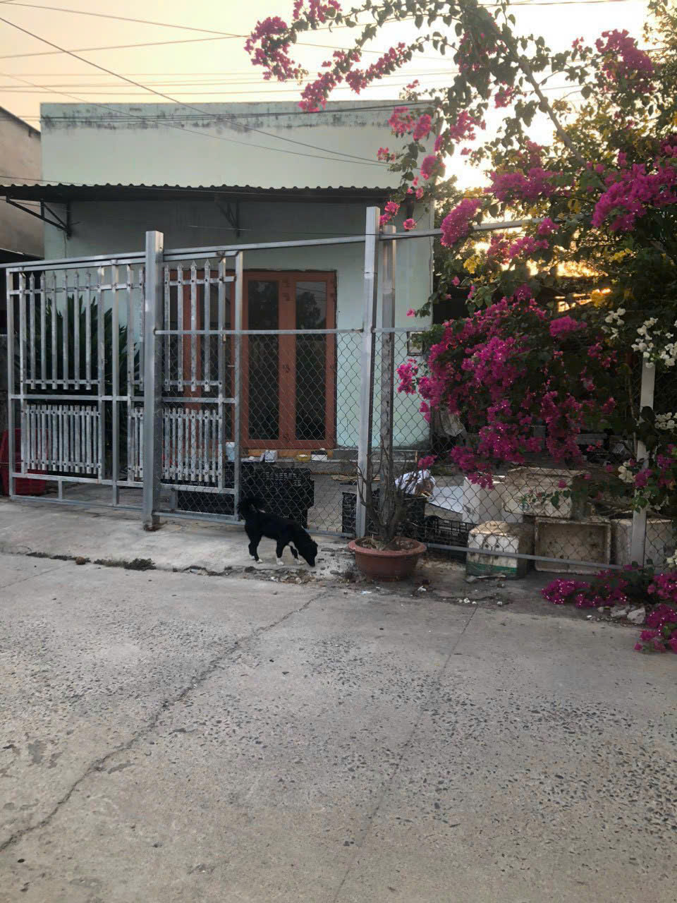 CHÍNH CHỦ Bán Gấp Nhà Vị Trí Đẹp Tại Cát Hải, Xã Tân Hải, Thị xã Phú Mỹ, Tỉnh Bà Rịa Vũng Tàu 16000304