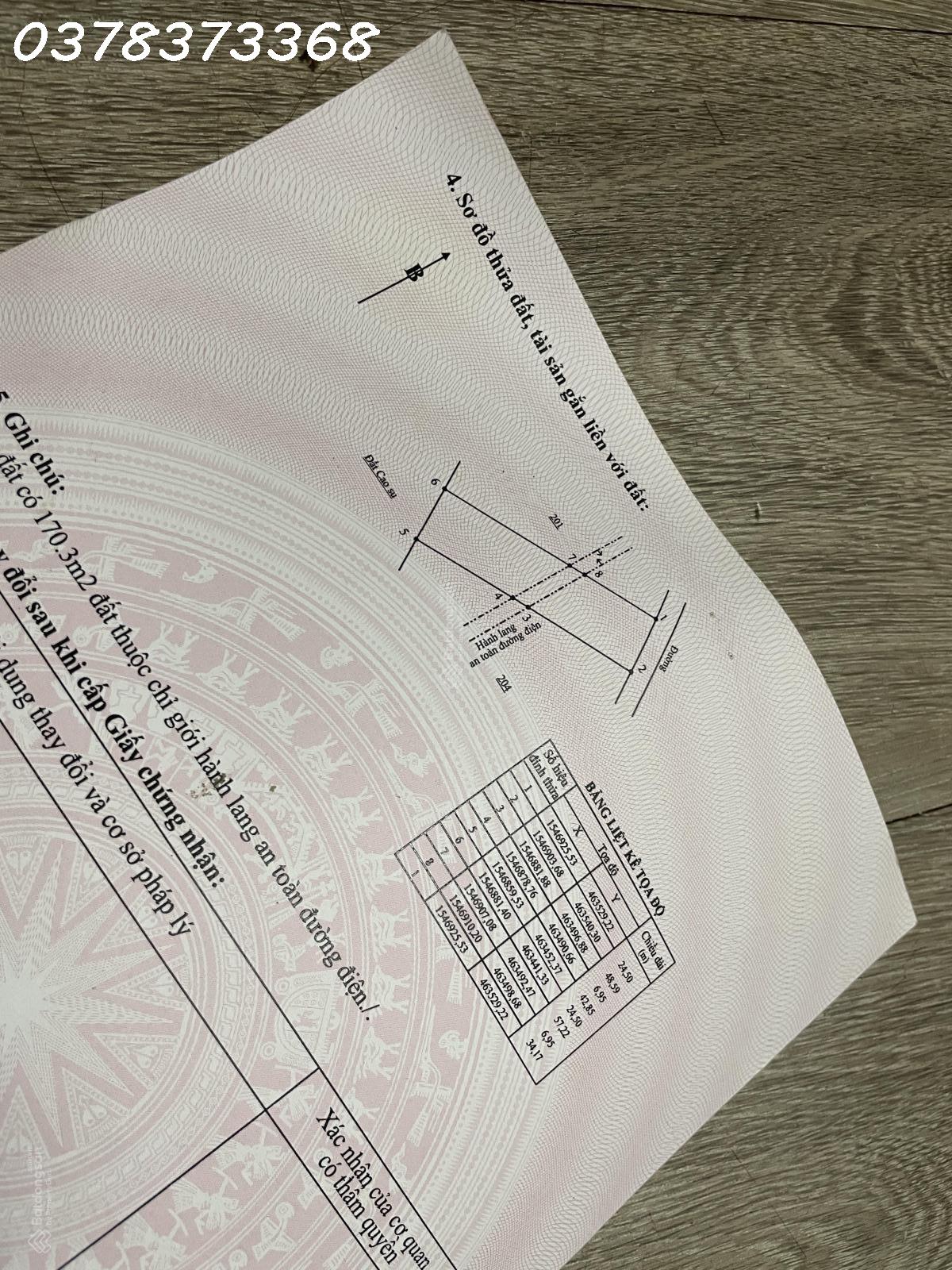 Bán gấp Đất tại Tân Bình Đak Đoa, 3,6 tỷ, 2500m2, pháp lý đầy đủ, hướng Đông 16000340