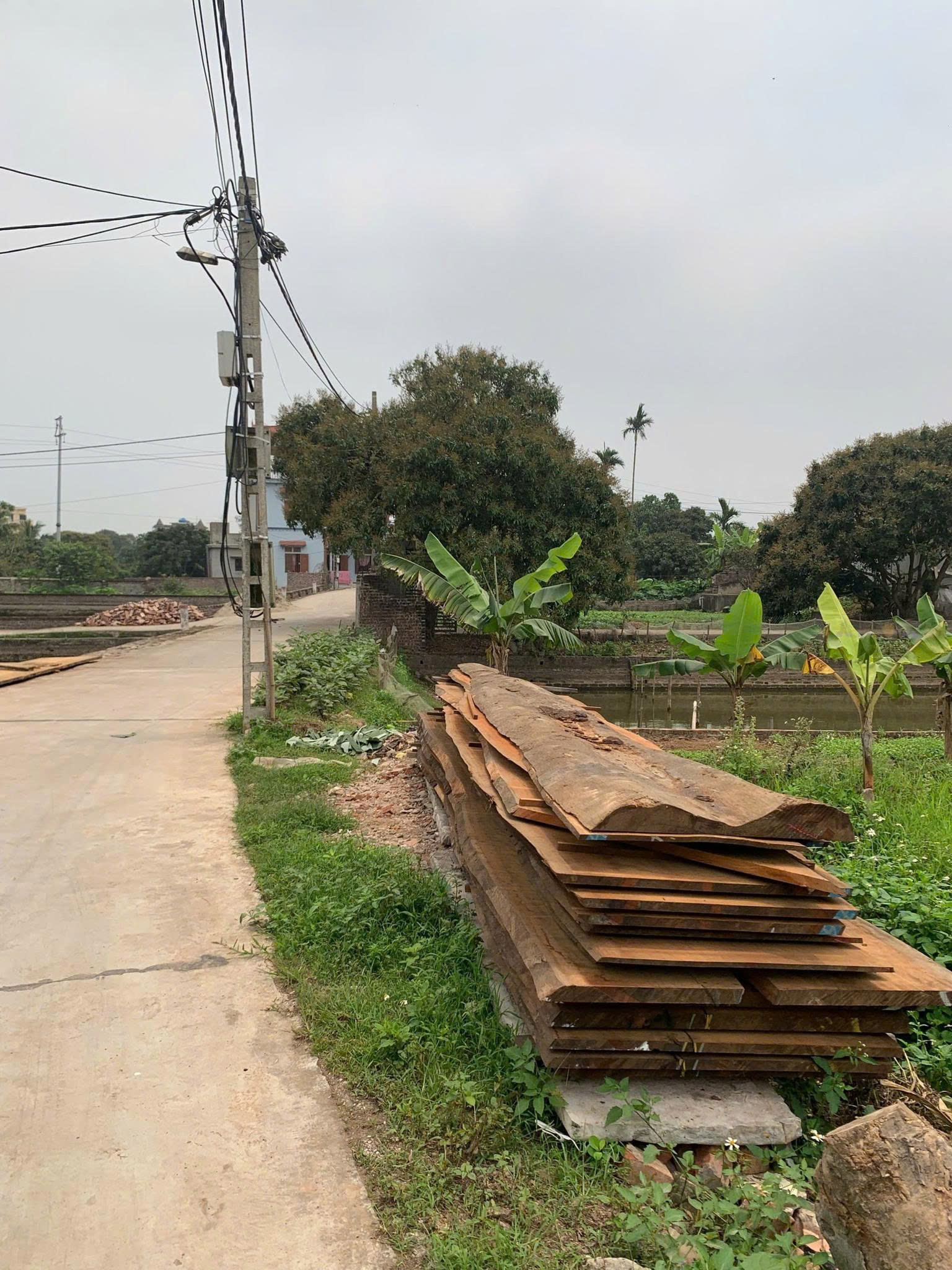 HOT !!! SỞ HỮU NGAY LÔ ĐẤT ĐẸP - GIÁ TỐT - Vị Trí Đắc Địa Tại Tam Đa, Phù Cừ, Hưng Yên 16000540
