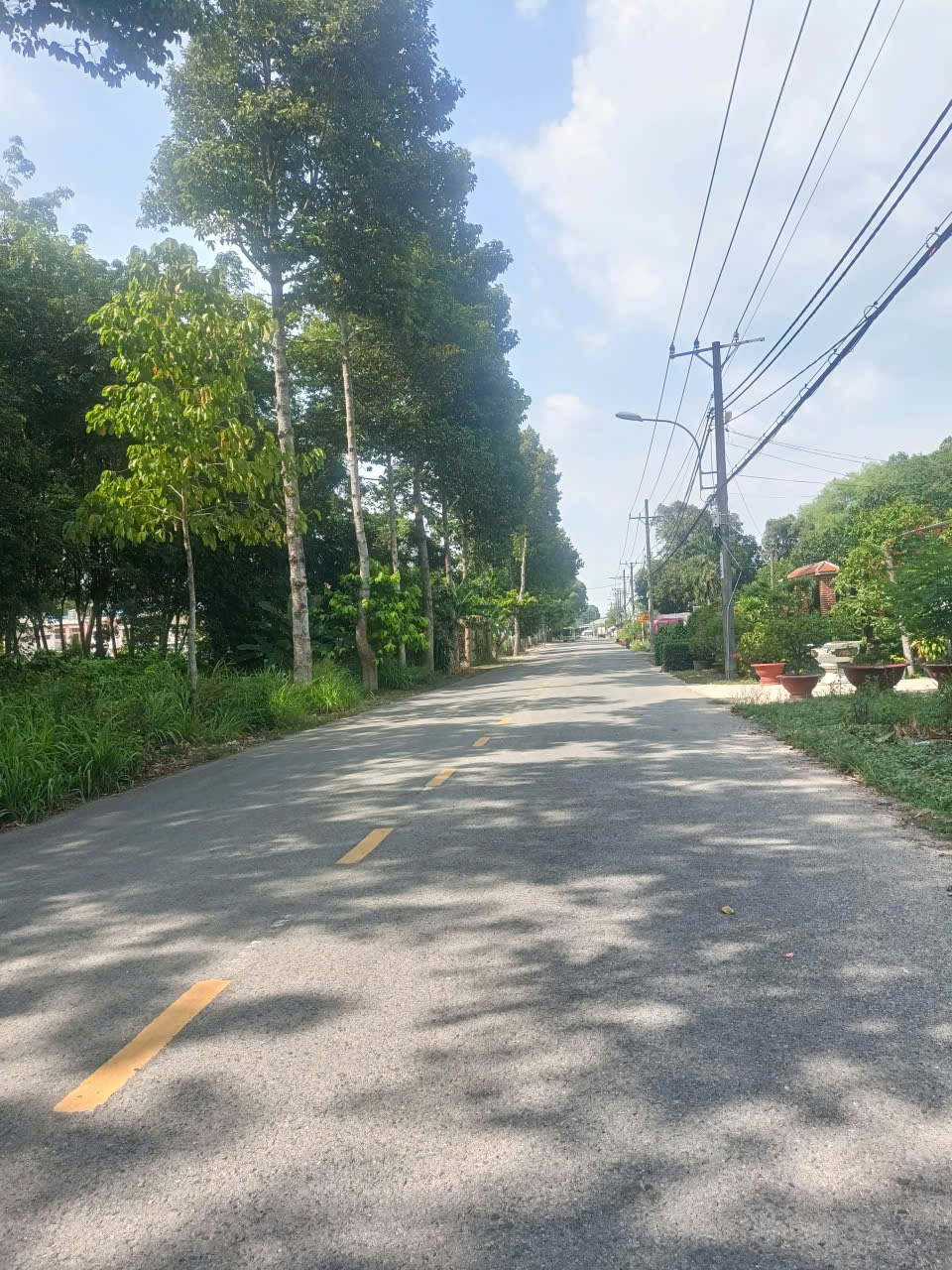 Bán xưởng + đất - An Nhơn Tây, Củ Chi - Giá tốt - Đường xe công - Khu dân cư đông đúc 16000691