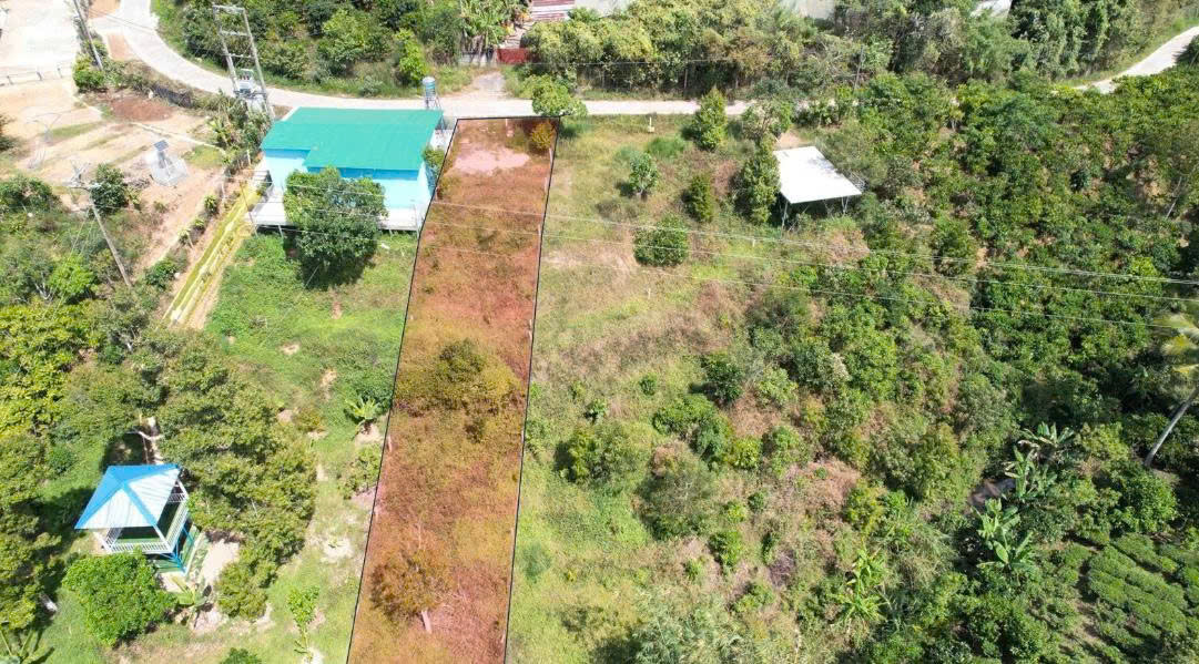 BÁN LÔ ĐẤT VIEW ĐỒI – VIEW SUỐI ĐẸP, FULL THỔ CƯ, NGANG 8M, CÁCH QL55 400M. 16000700