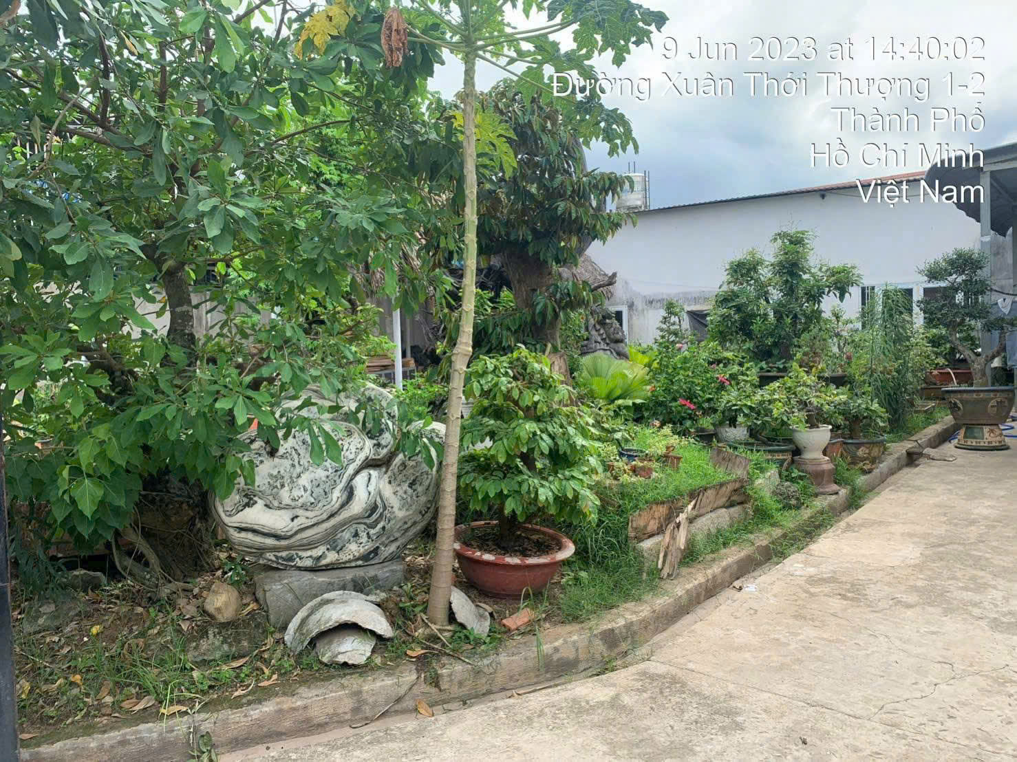 GẤP GẤP – SIÊU PHẨM ĐẤT LỚN NỞ HẬU DƯƠNG CÔNG KHI – GIÁ CHỈ 11 TỶ (TL) 16000710