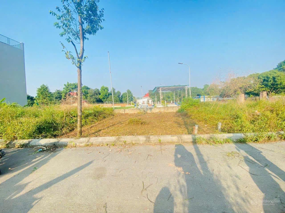 Bán 60,5m2 CỔ ĐÔNG, Sơn Tây gần LÀNG ĐHQG giá chỉ 2,350 tỷ/lô 16000901