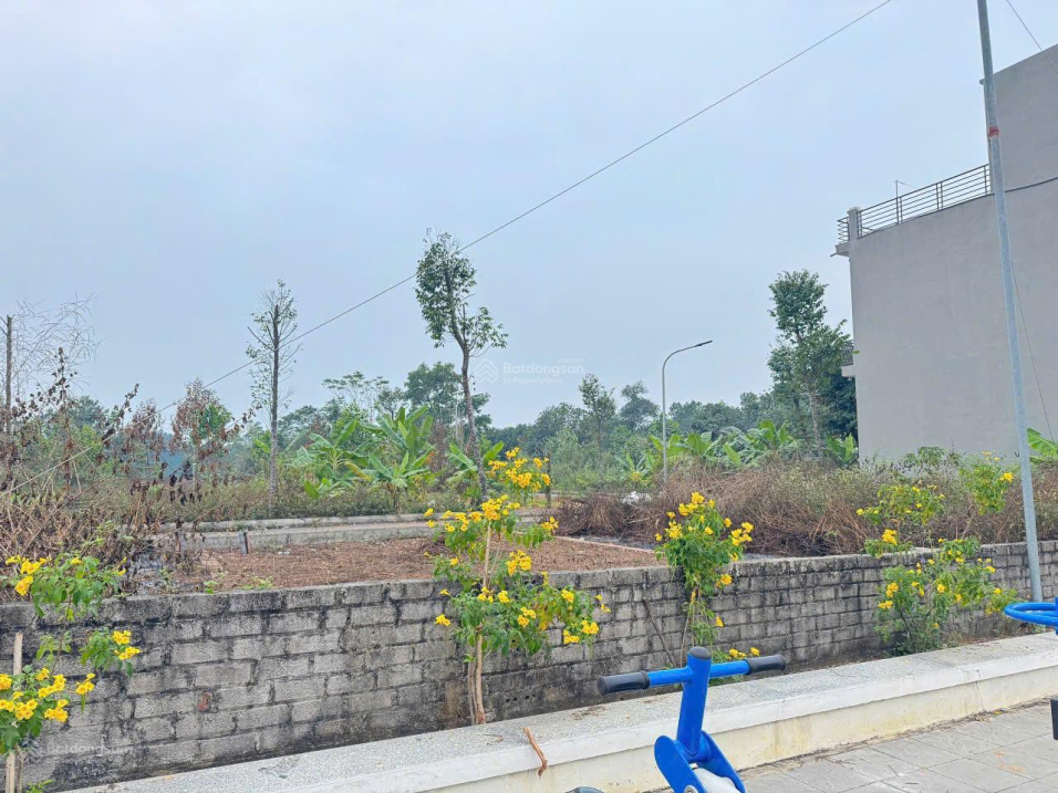 Bán 60,5m2 CỔ ĐÔNG, Sơn Tây gần LÀNG ĐHQG giá chỉ 2,350 tỷ/lô 16000901