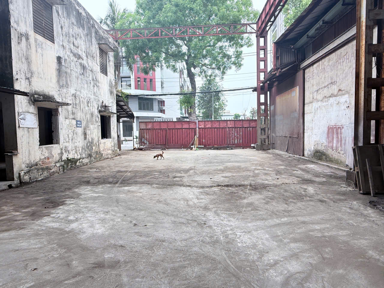 Cho thuê 1250m2 kho riêng biệt làm kho chứa hàng, giao vận, chuyển phát...tại Đức Giang, Long Biên, Hà Nội 16000956