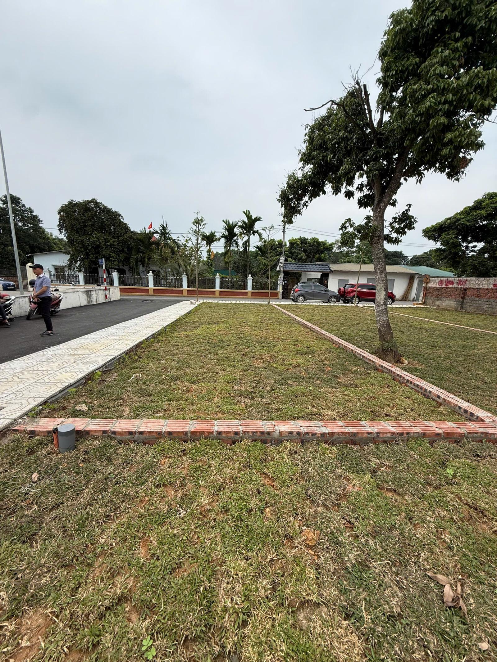 Bán đất tại Xã Cổ Đông, 2,8 tỷ, 100m2, vị trí đẹp, tiềm năng phát triển 16001148