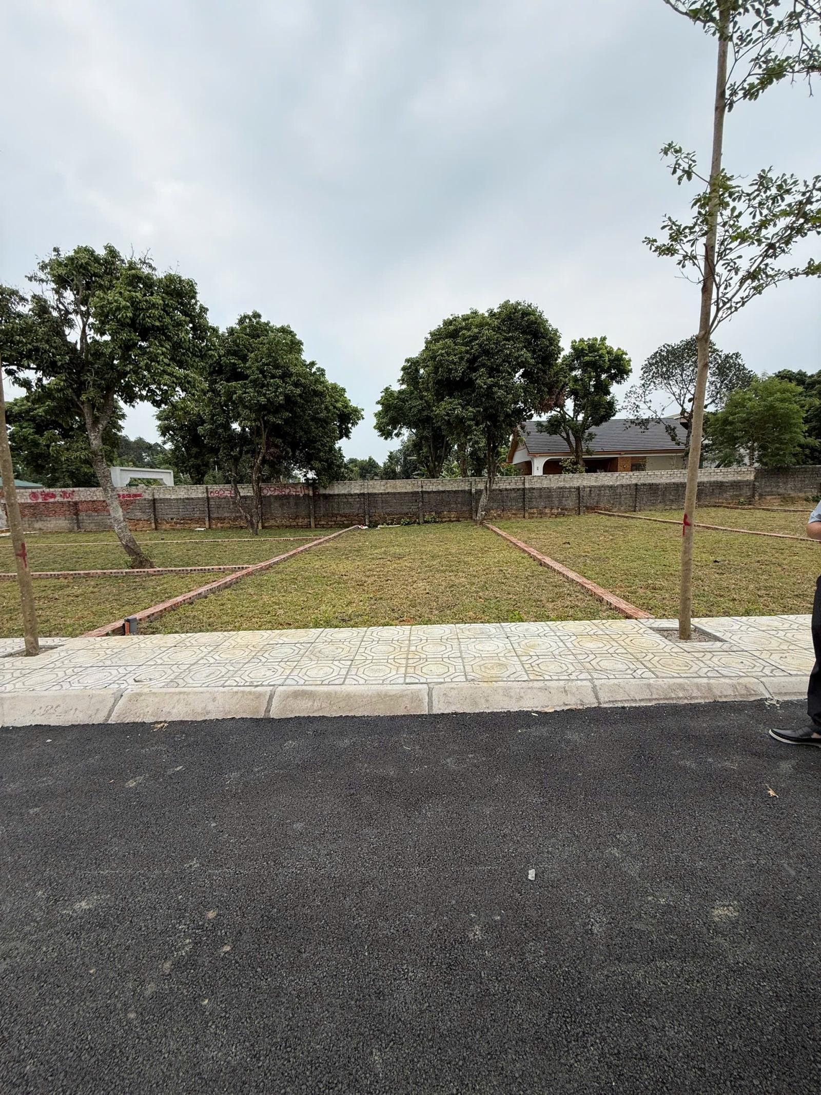 Bán đất tại Xã Cổ Đông, 2,8 tỷ, 100m2, vị trí đẹp, tiềm năng phát triển 16001148