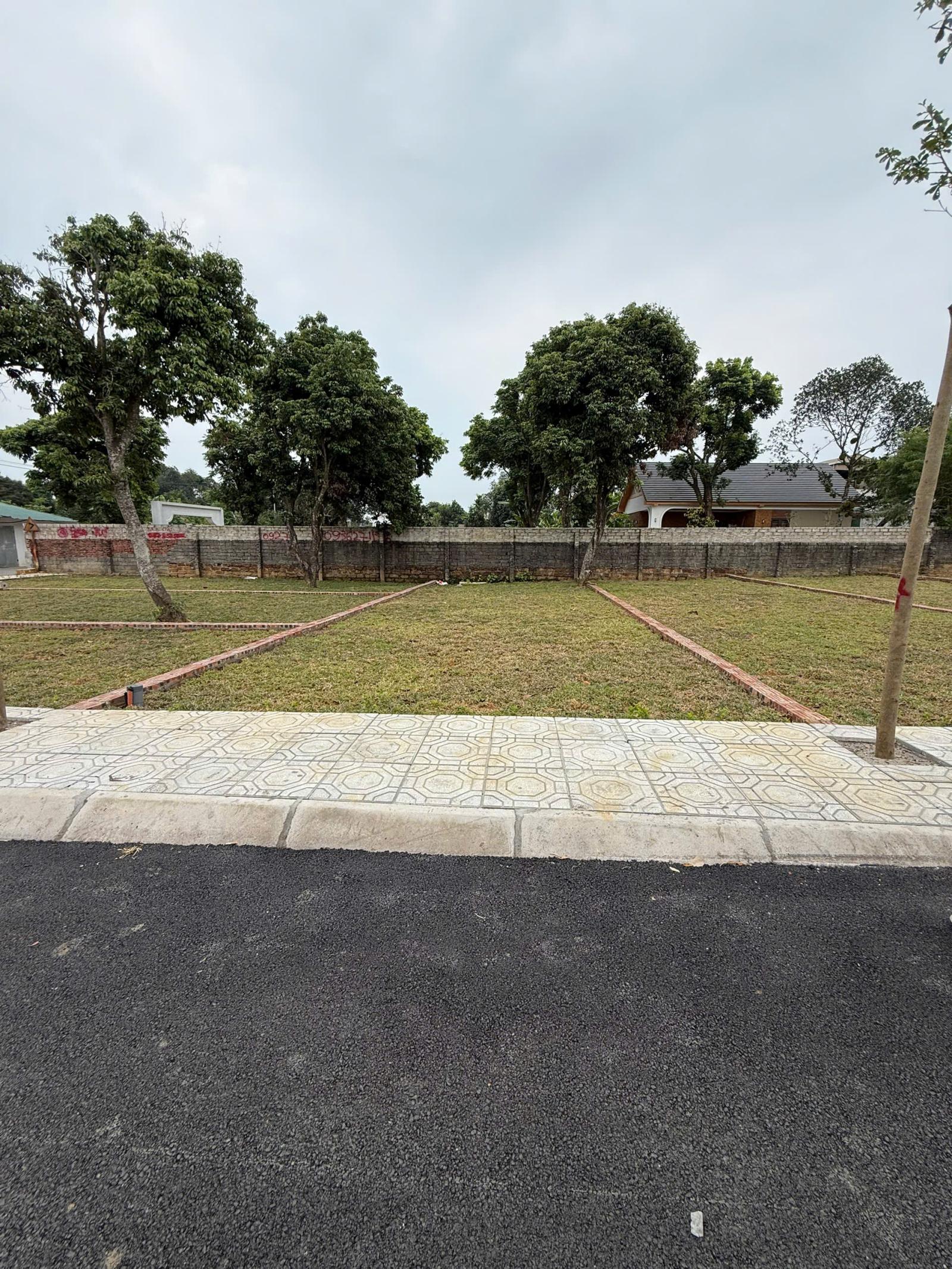 Bán đất tại Xã Cổ Đông, 2,8 tỷ, 100m2, vị trí đẹp, tiềm năng phát triển 16001148