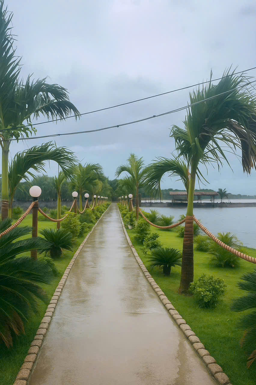Kẹt Tiền Bán Nhanh Lô Đất Tại Tân Thạnh, Tân Phú Đông, Tiền Giang 16001163