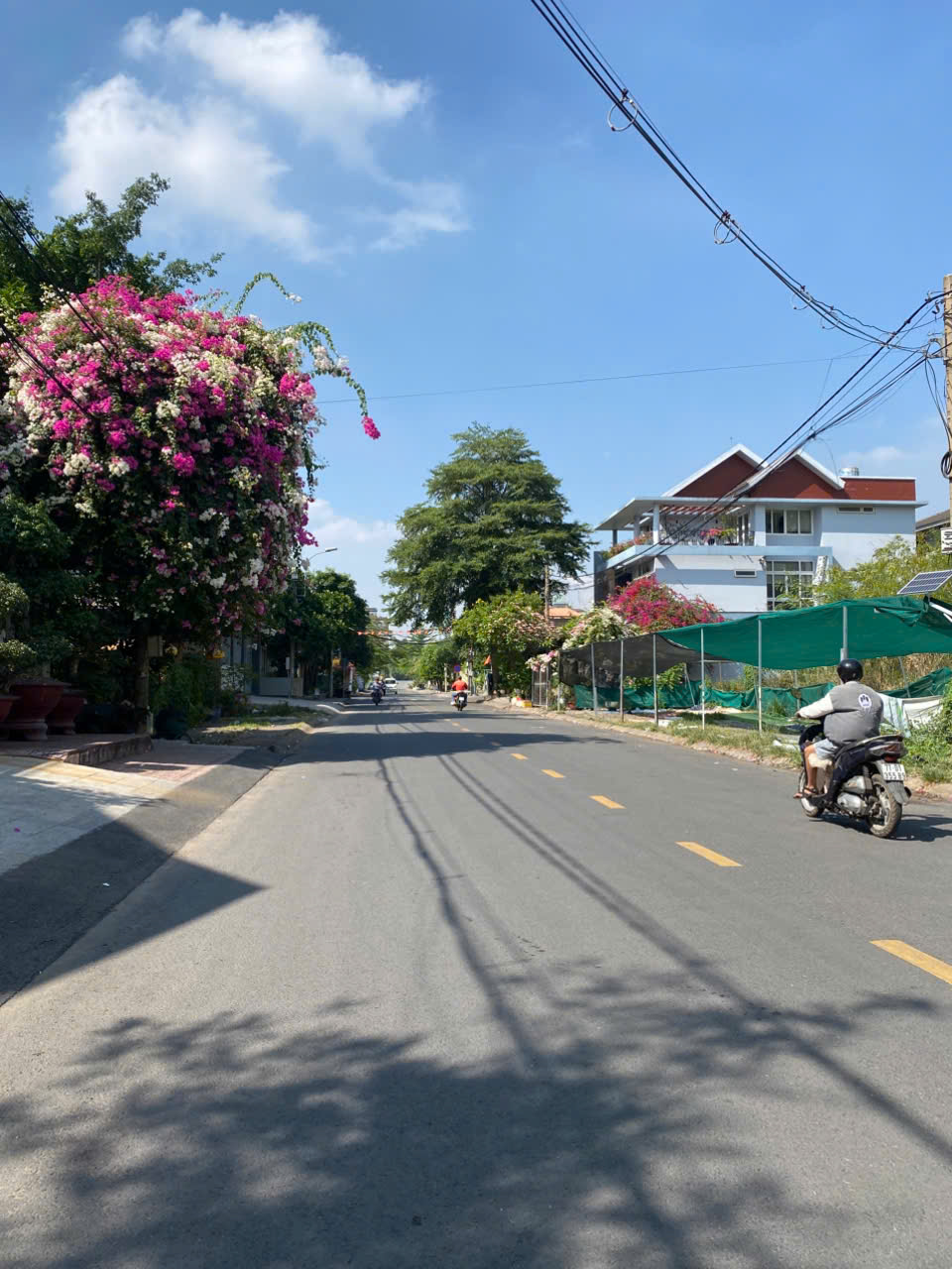 CẦN BÁN LÔ ĐẤT MẶT TIỀN DG SỐ 10 VIEW SÔNG SÀI GÒN, HIỆP BÌNH CHÁNH, THỦ ĐỨC 16001169