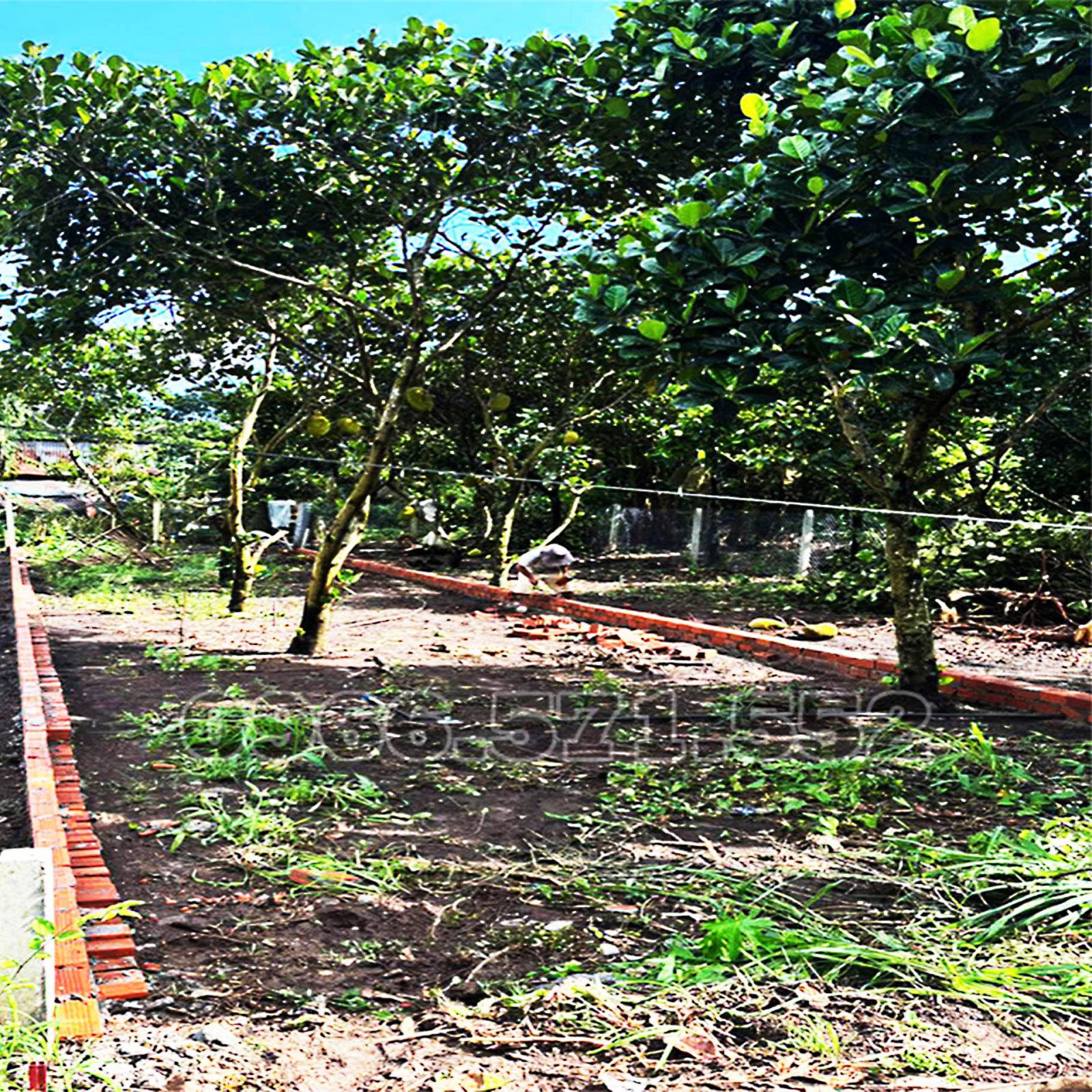 210m² THỔ CƯ, NGAY CHỢ HÀM NGHI – TP LONG KHÁNH – ĐN. CƠ HỘI X2,3 TÀI SẢN. 16001194