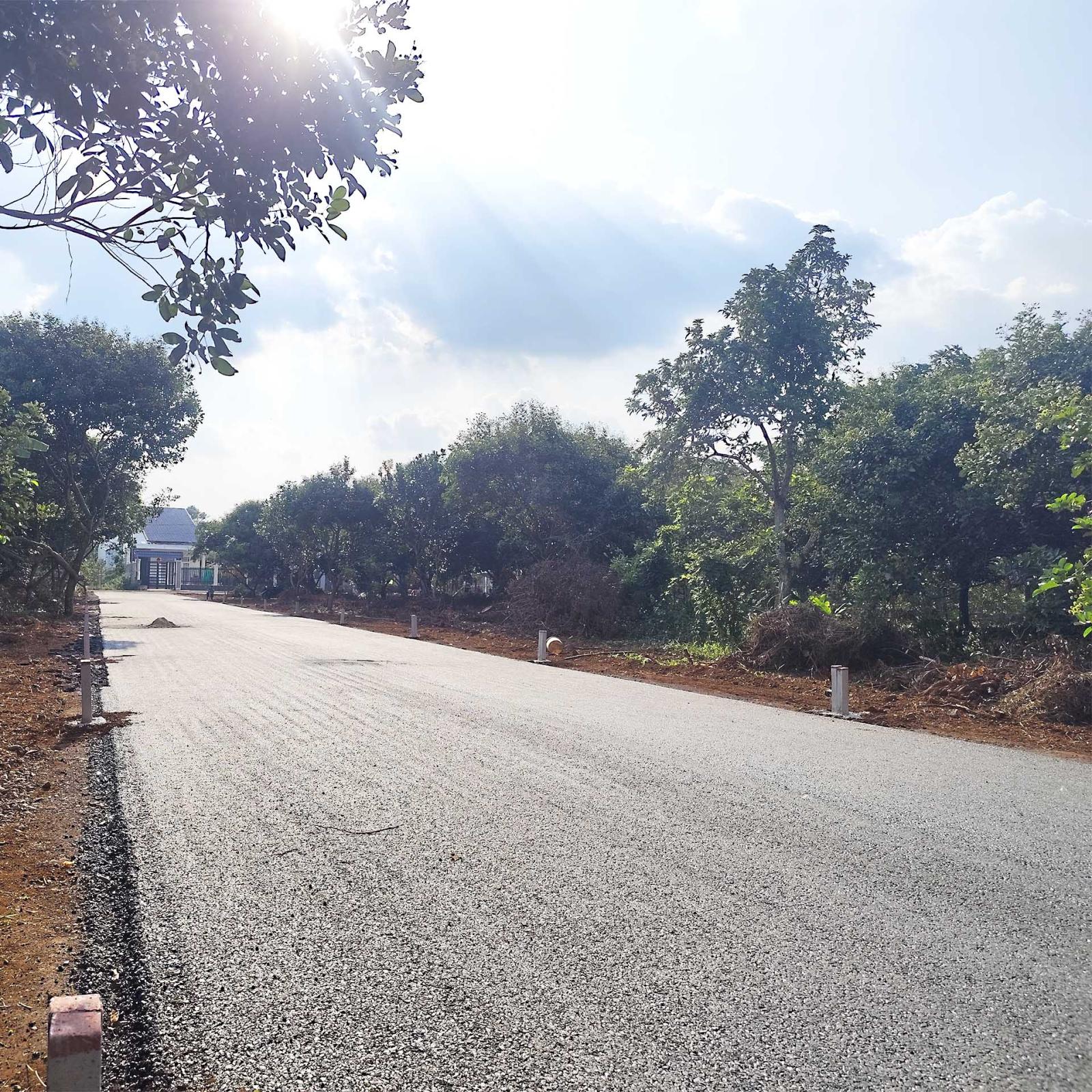 ĐẤT NỀN MT ĐƯỜNG NHỰA, CHỈ 380Tr! NGAY CHỢ VÀ KCN LONG KHÁNH. ĐỒNG NAI 16001204