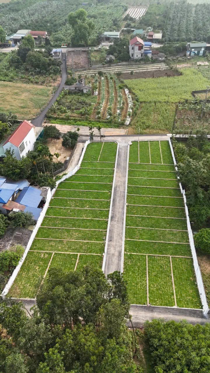 HOT  – QUỸ ĐẤT ĐẦU TƯ CAO DƯƠNG, LƯƠNG SƠN, HÒA BÌNH Giá Chỉ Hơn 8TR/M², Sổ Riêng Từng Lô. 16001295