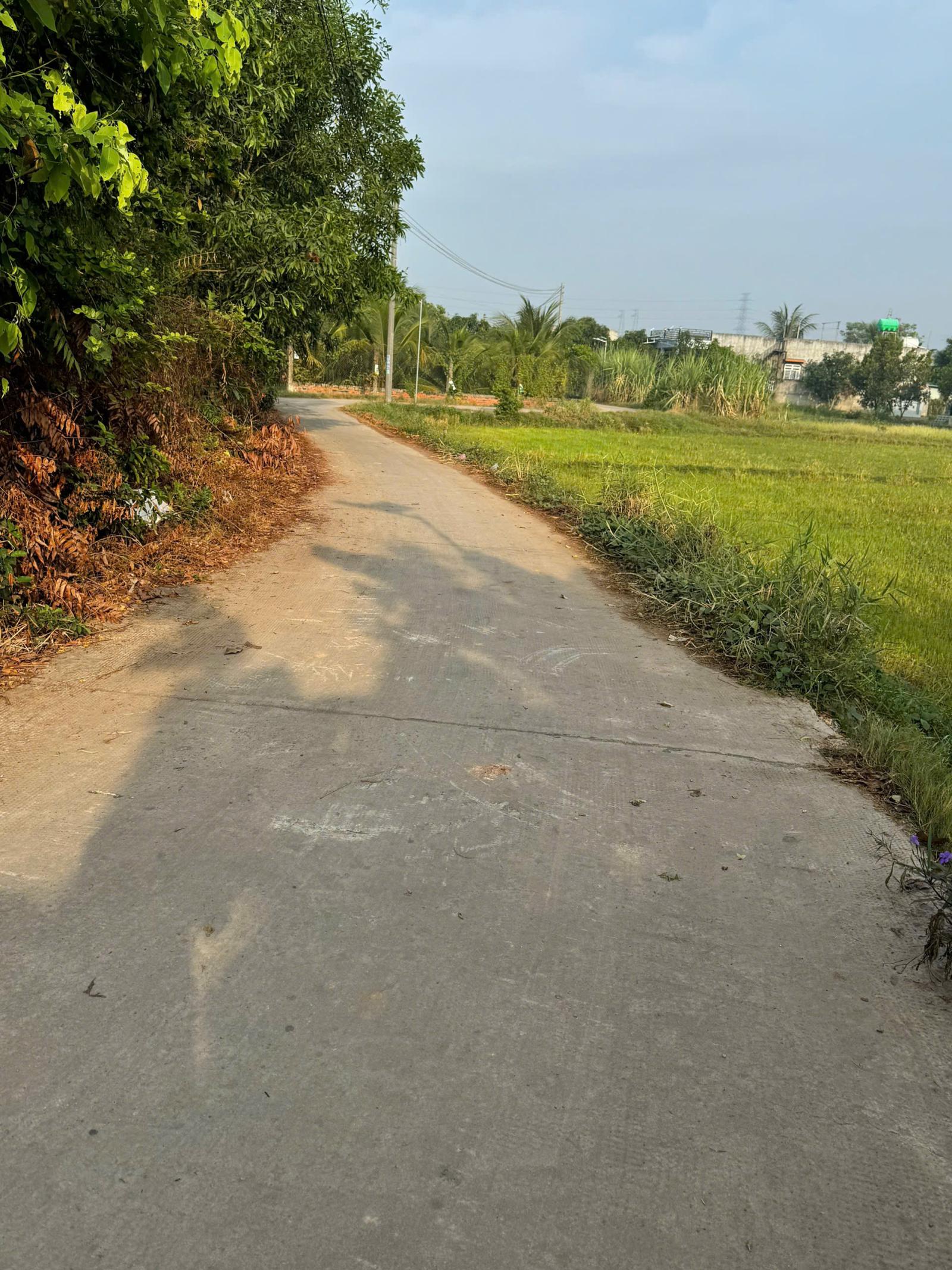 CHÍNH CHỦ BÁN ĐẤT DIỆN TÍCH LỚN – GIÁ TỐT TẠI ĐỨC HÒA, LONG AN 16001366