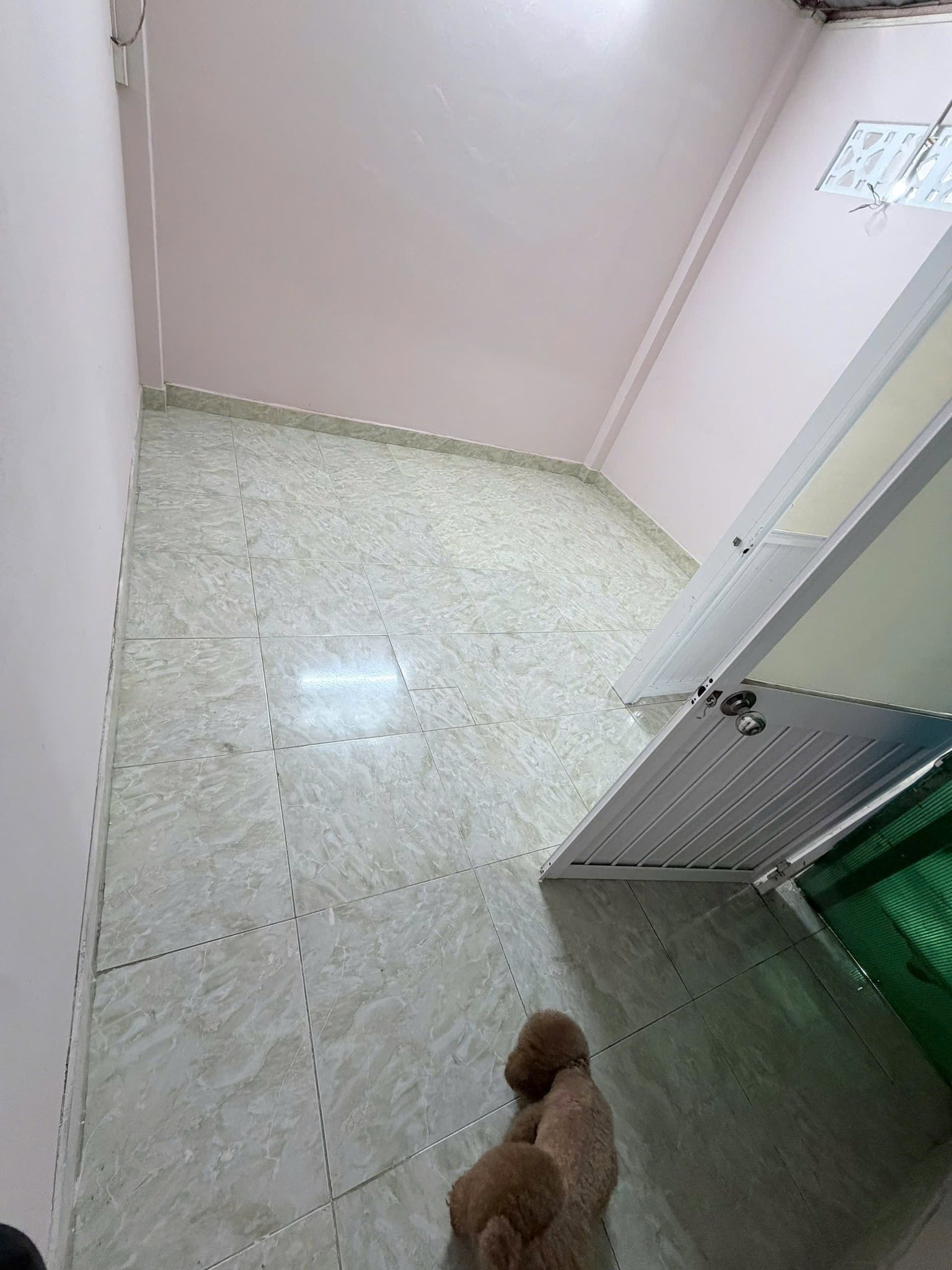 Cho thuê nhà nguyên căn Nguyễn Văn Nghi Gò Vấp 50m² 1T 1L 7.5tr/th 16001371