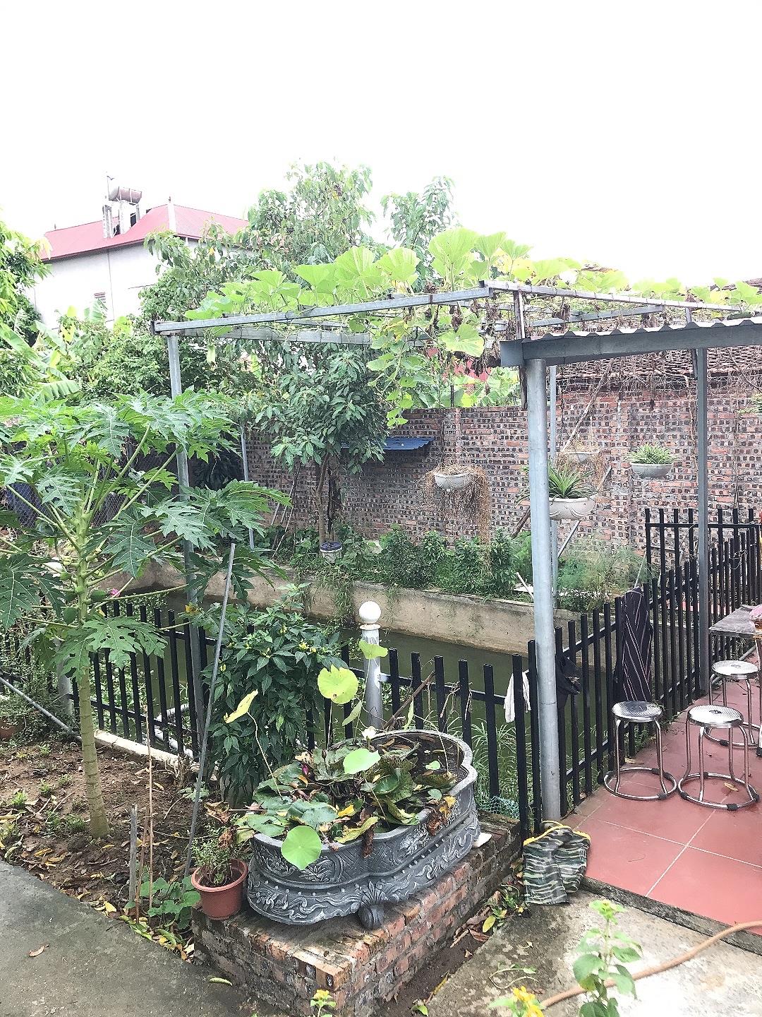 Cho thê đất ( gần 500m2) tại Thôn Thượng, Sóc Sơn Hà Nội, giá thỏa thuận 16001533