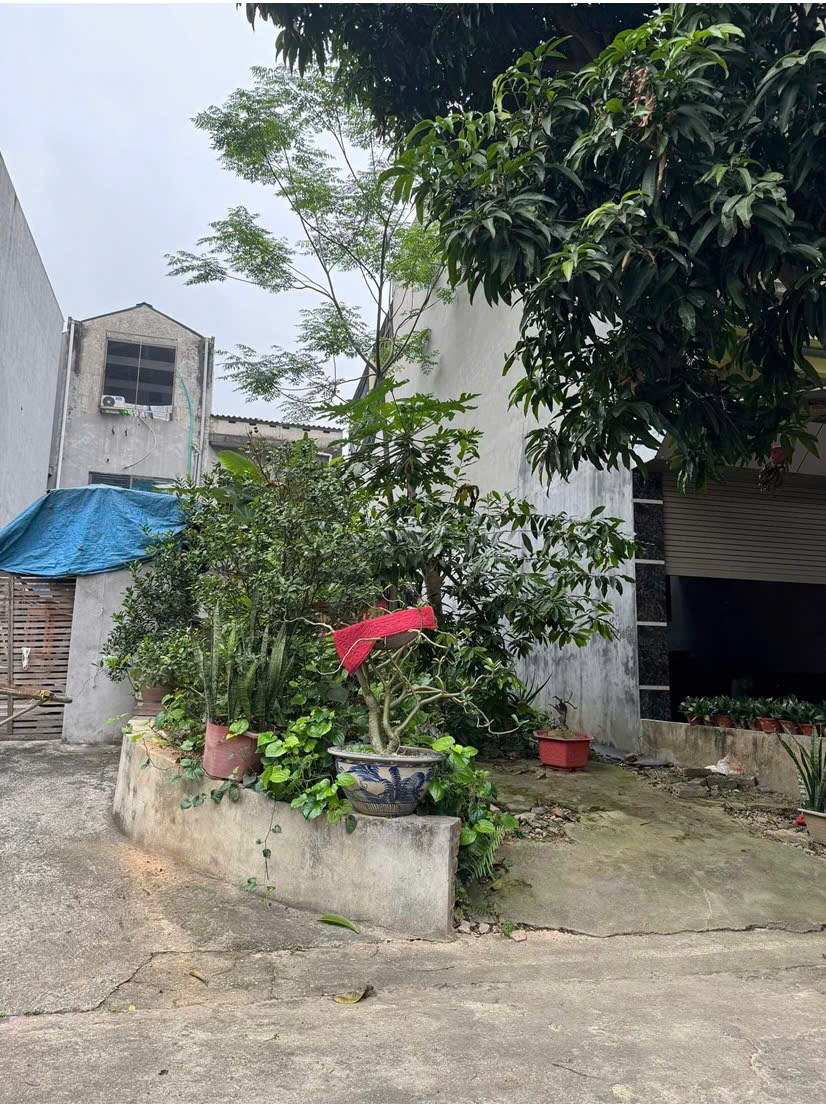 CHÍNH CHỦ BÁN ĐẤT ĐẸP KHU ĐỒI ÔNG TO – PHƯỜNG NÔNG TRANG, TP. VIỆT TRÌ, PHÚ THỌ 16001747