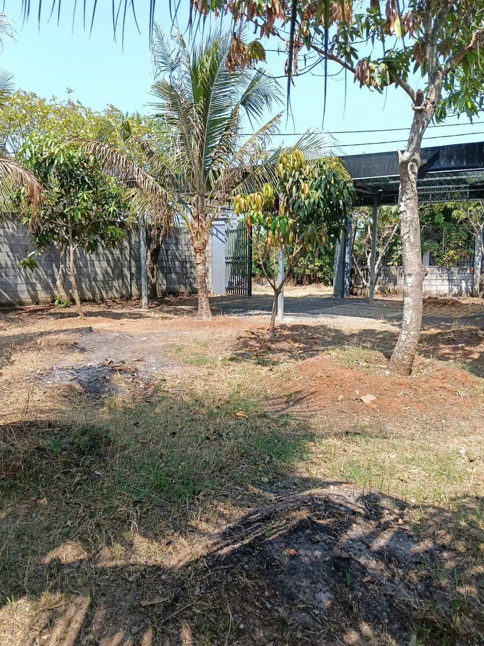 NHÀ VƯỜN (29X16) THỚI TAM THÔN – GIÁ MỀM CHỈ 9.3 TỶ ĐẦU TƯ NGAY 16001819