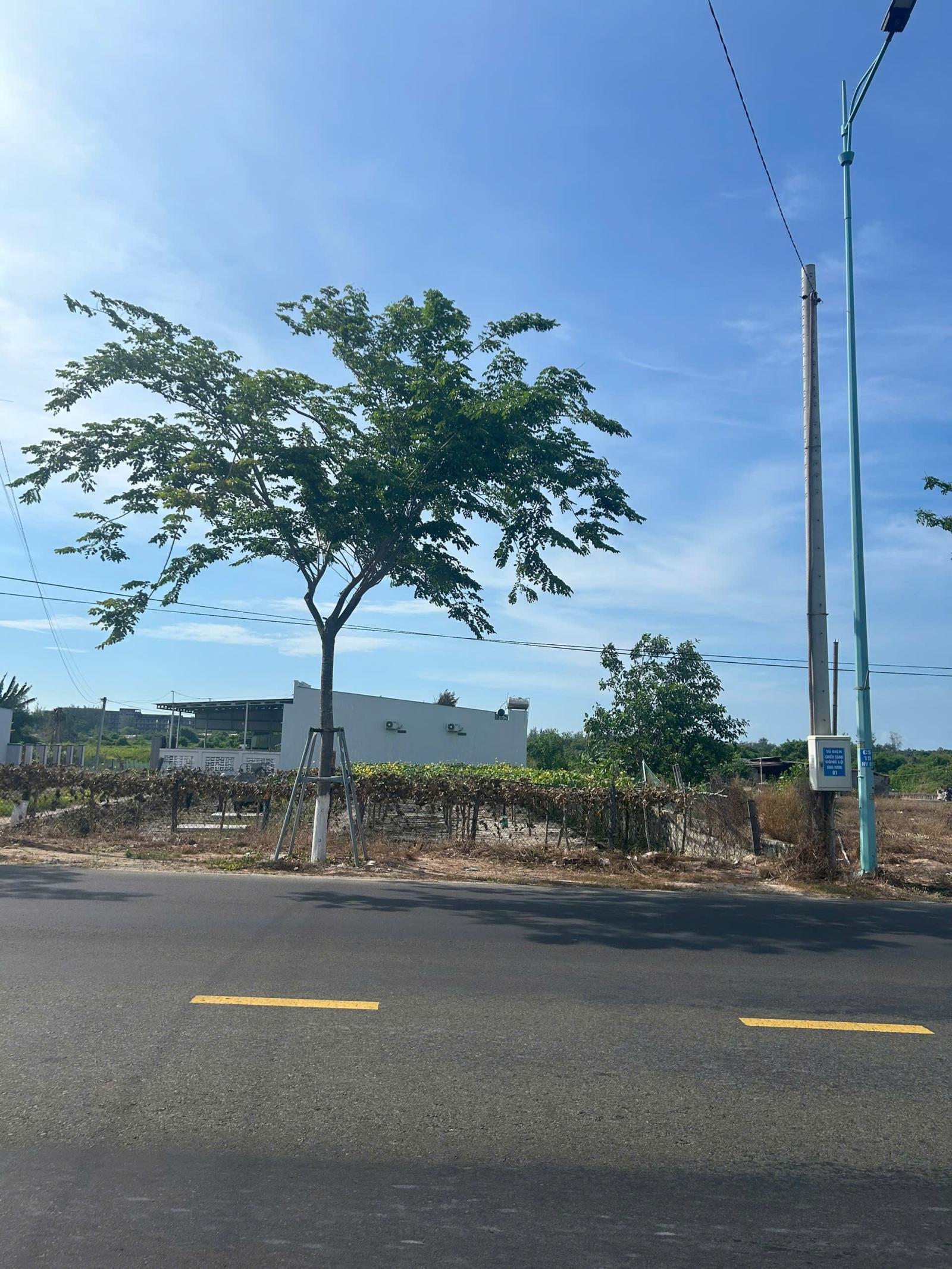 Bán 11.5m x 45m đất mặt tiền Hùng Vương - Tân Bình - LaGi gần biển giá mềm 16001929