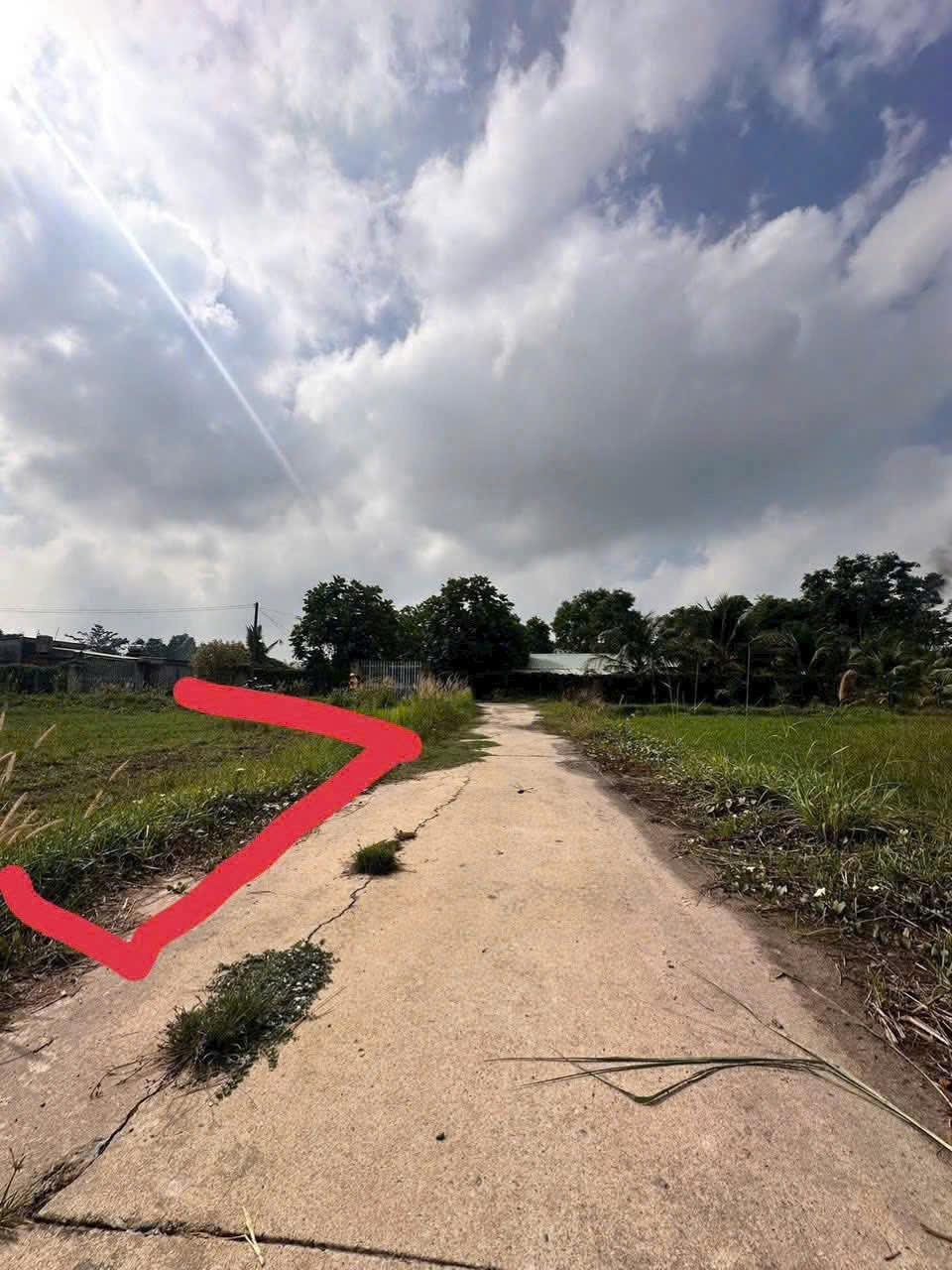 SỞ HỮU NGAY LÔ ĐẤT ĐẸP - GIÁ TỐT - Vị Trí Đắc Địa Tại Xóm Mới, Phường Gò Dầu 16002054