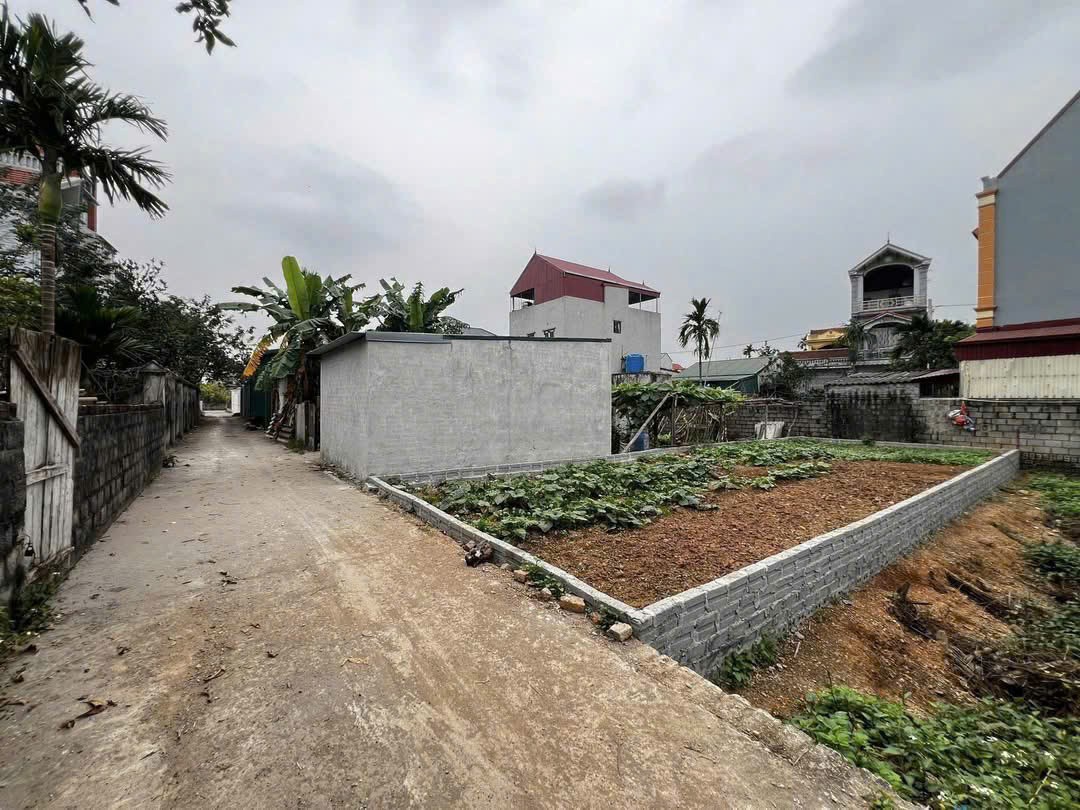 ĐẤT ĐẸP GIÁ TỐT- CHỈ NHỈNH 3 Tỷ SỞ HỮU NGAY 83m² PHƯỢNG DỰC – Ô TÔ GẦN – TIỀM NĂNG TĂNG GIÁ CỰC MẠNH 16002186
