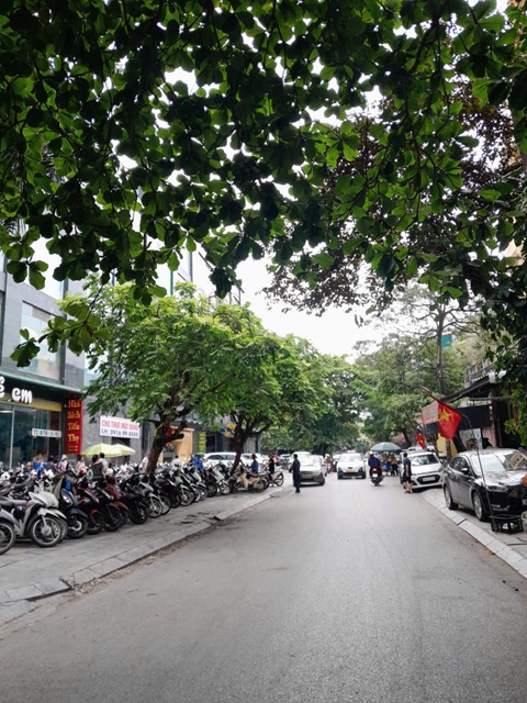 NHÀ VỊ TRÍ ĐẸP - Chính Chủ Bán Nhà 4 Tầng Mặt Phố Lý Thường Kiệt, Phường Hạc Thành , Tỉnh Thanh Hóa. 16002187