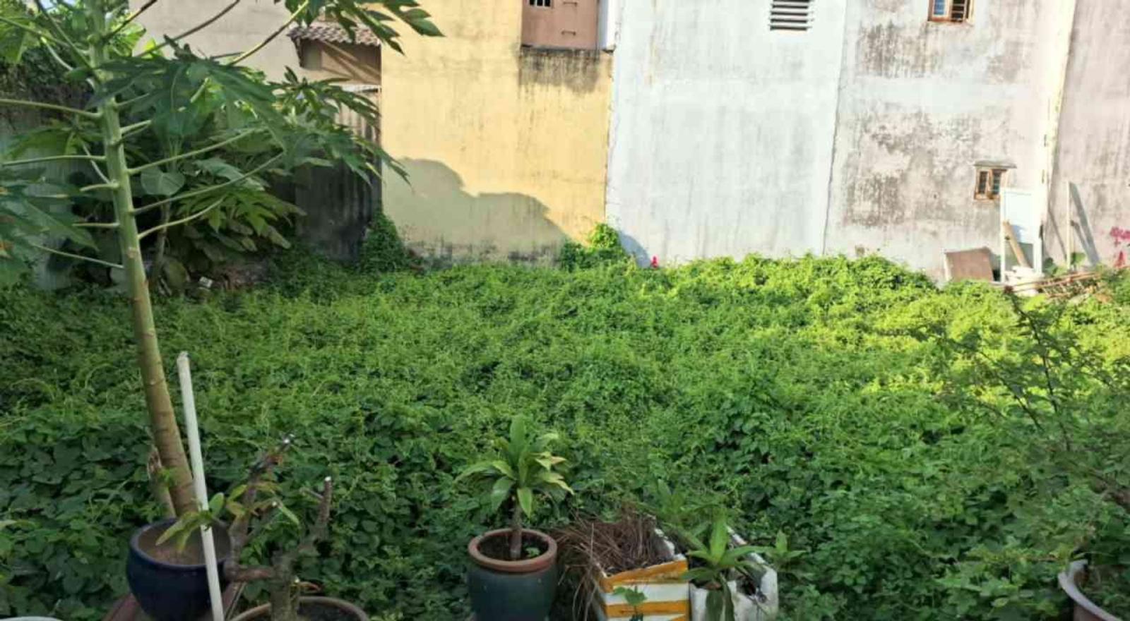 Bán Đất Thổ Cư 51m2 Huỳnh Tấn Phát, Q7 - Sổ Hồng Riêng - 4.3 Tỷ 16002292