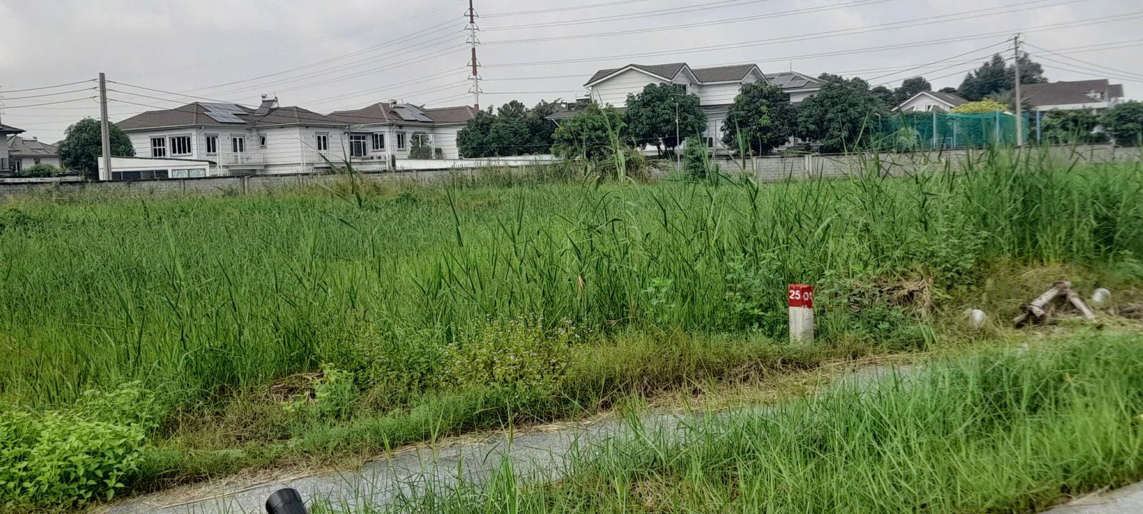 BÁN ĐẤT TÁI ĐỊNH CƯ – KHU ĐẠI NHÂN, VẠN PHÚC CITY, QUỐC LỘ 13, HIỆP BÌNH PHƯỚC, THỦ ĐỨC 16002343