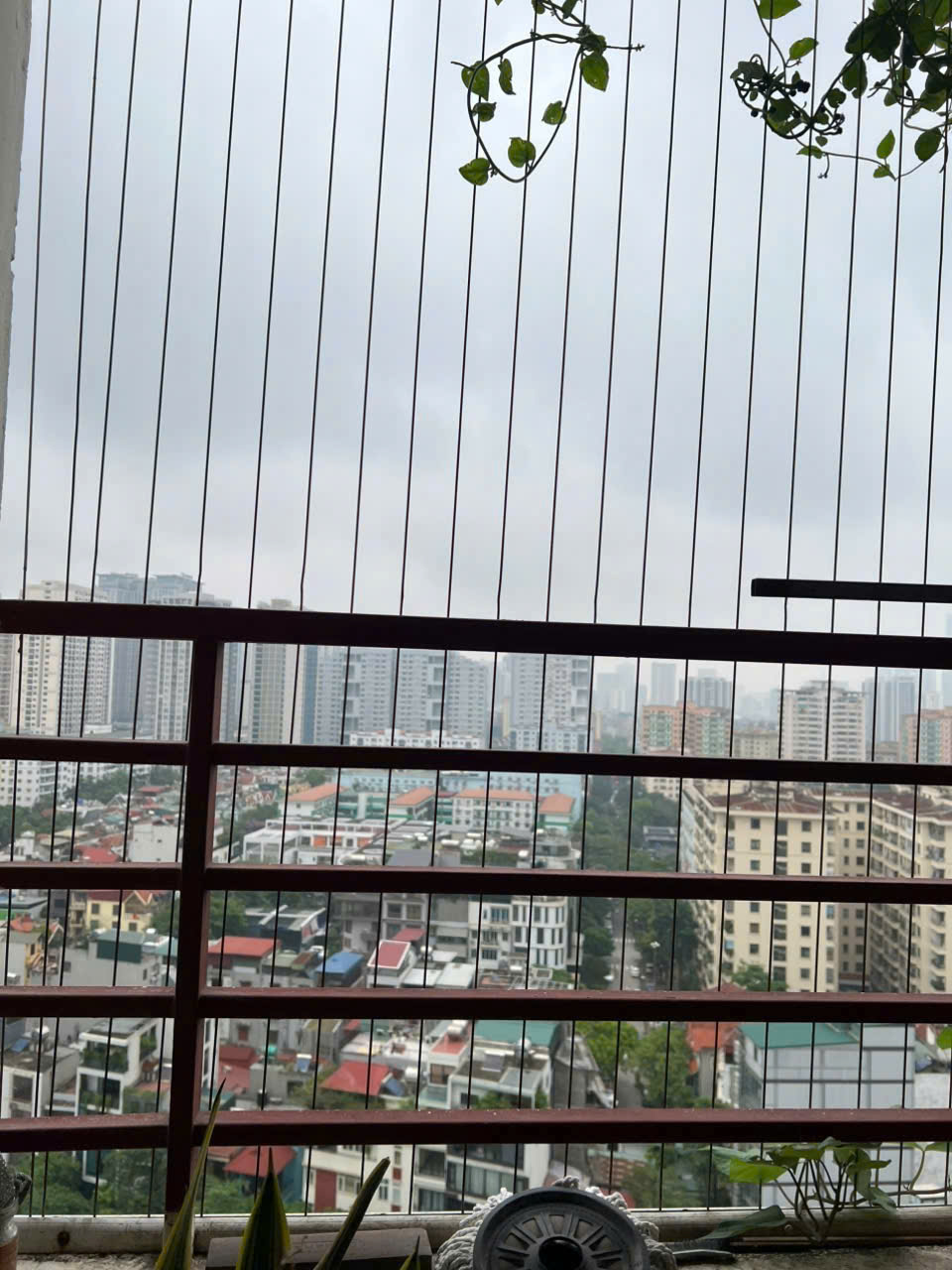 Cho thuê căn hộ 2pn2vs Vinaconex7 Mỹ Đình sẵn đồ giá 11,5 triệu

 16002450